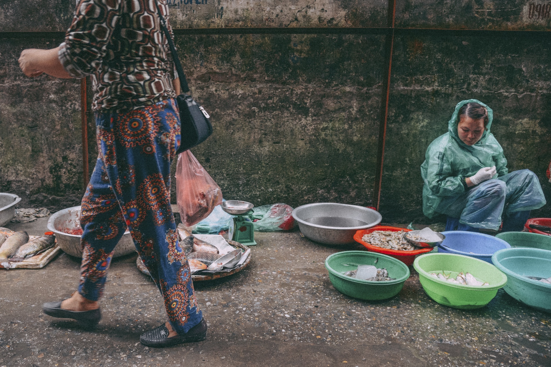 cho coc Ha Noi anh 8