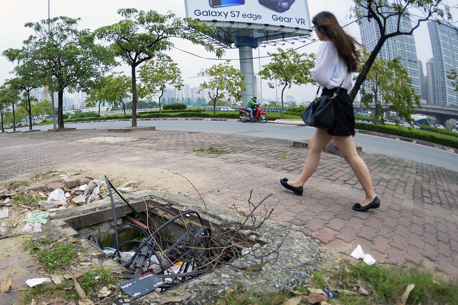 An hoa 'ho tu than' tren via he Ha Noi hinh anh