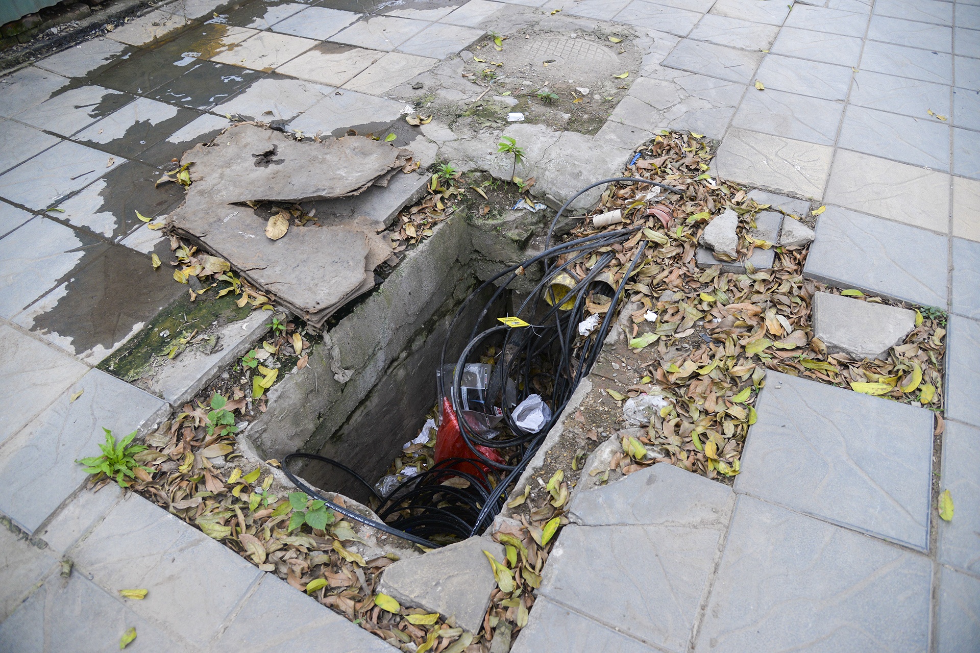 ho tu than tren via he rinh rap nguoi di bo anh 7