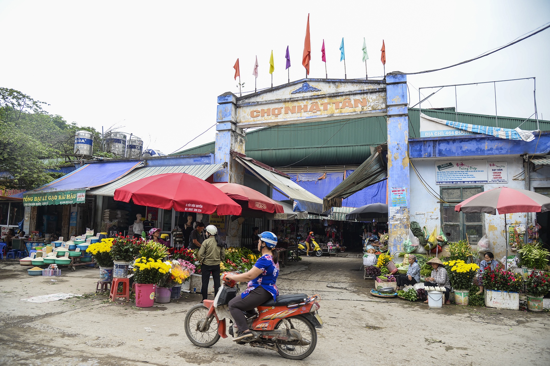 cho truyen thong bien mat anh 12