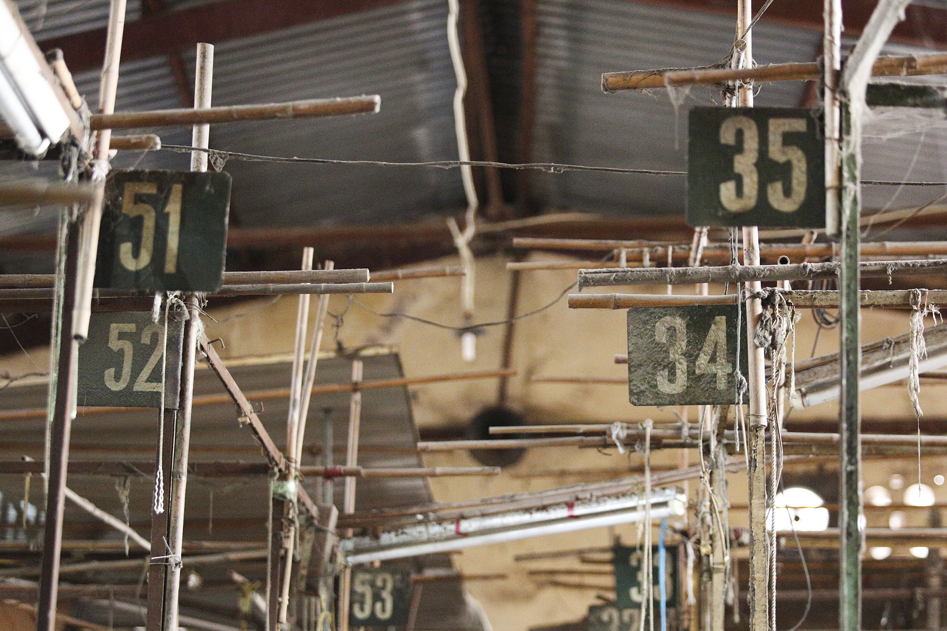 cho truyen thong bien mat anh 3