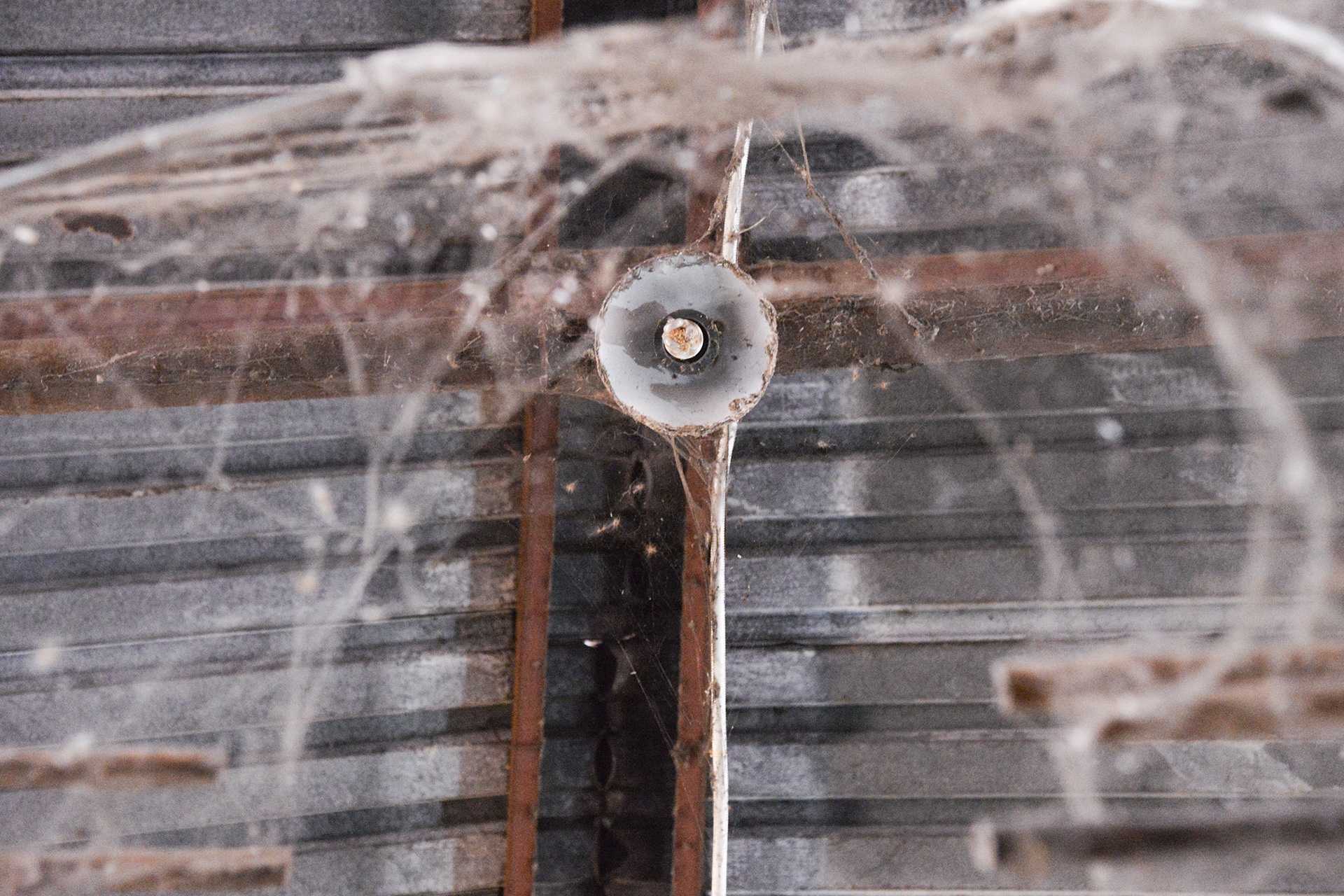 cho truyen thong bien mat anh 4