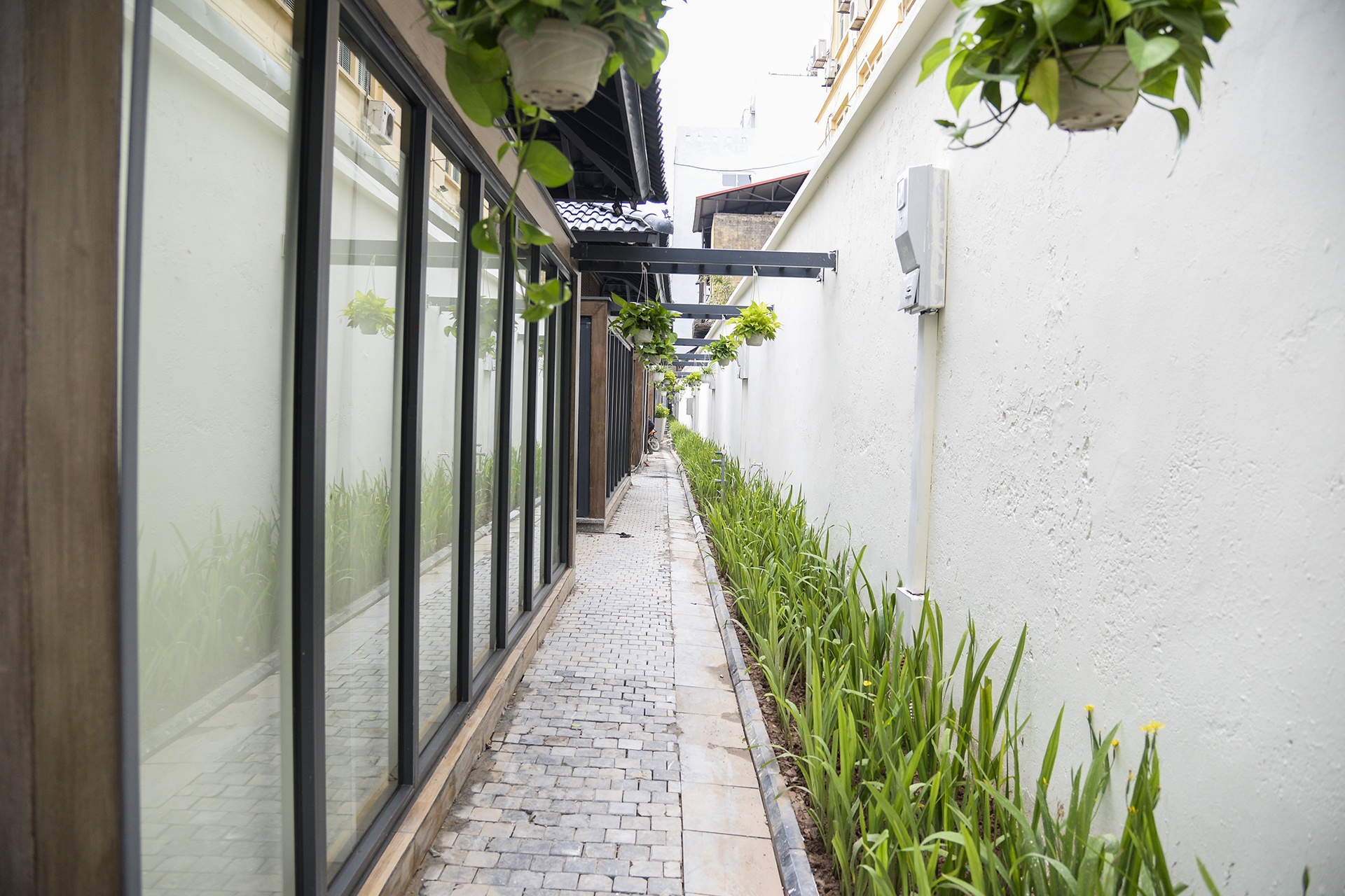 pho sach truoc ngay khai truong anh 11