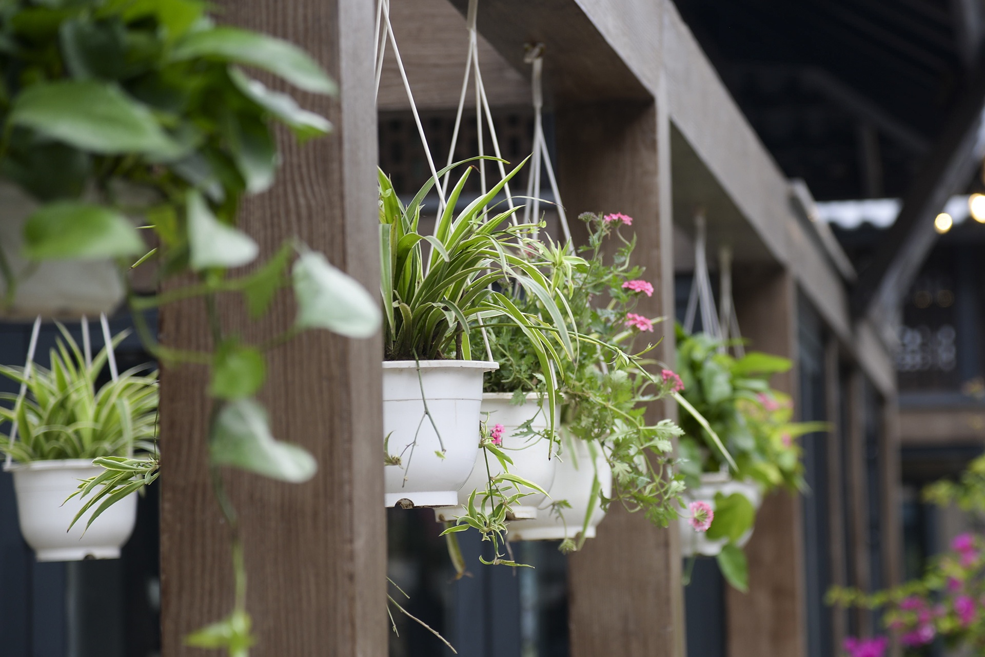 pho sach truoc ngay khai truong anh 12