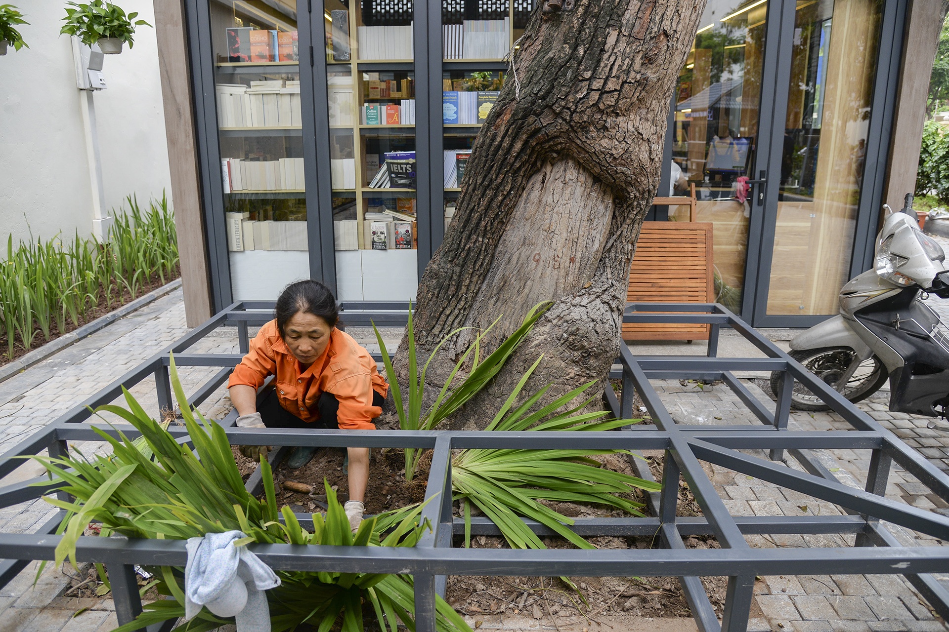 pho sach truoc ngay khai truong anh 10