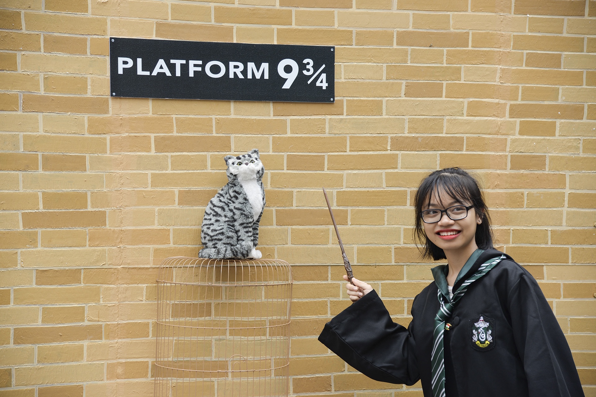 ky niem 20 Nam Harry Potter anh 10