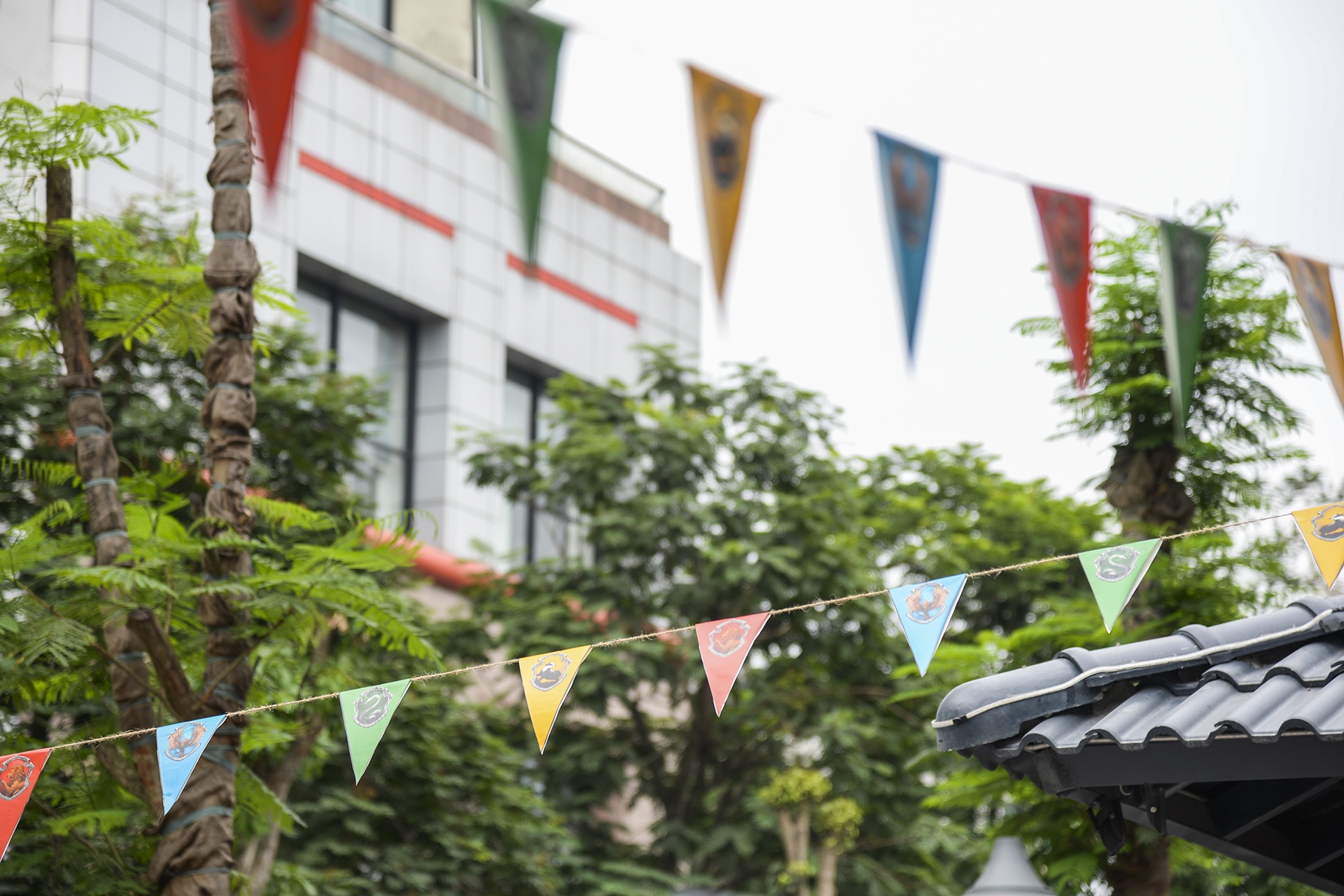 ky niem 20 Nam Harry Potter anh 1