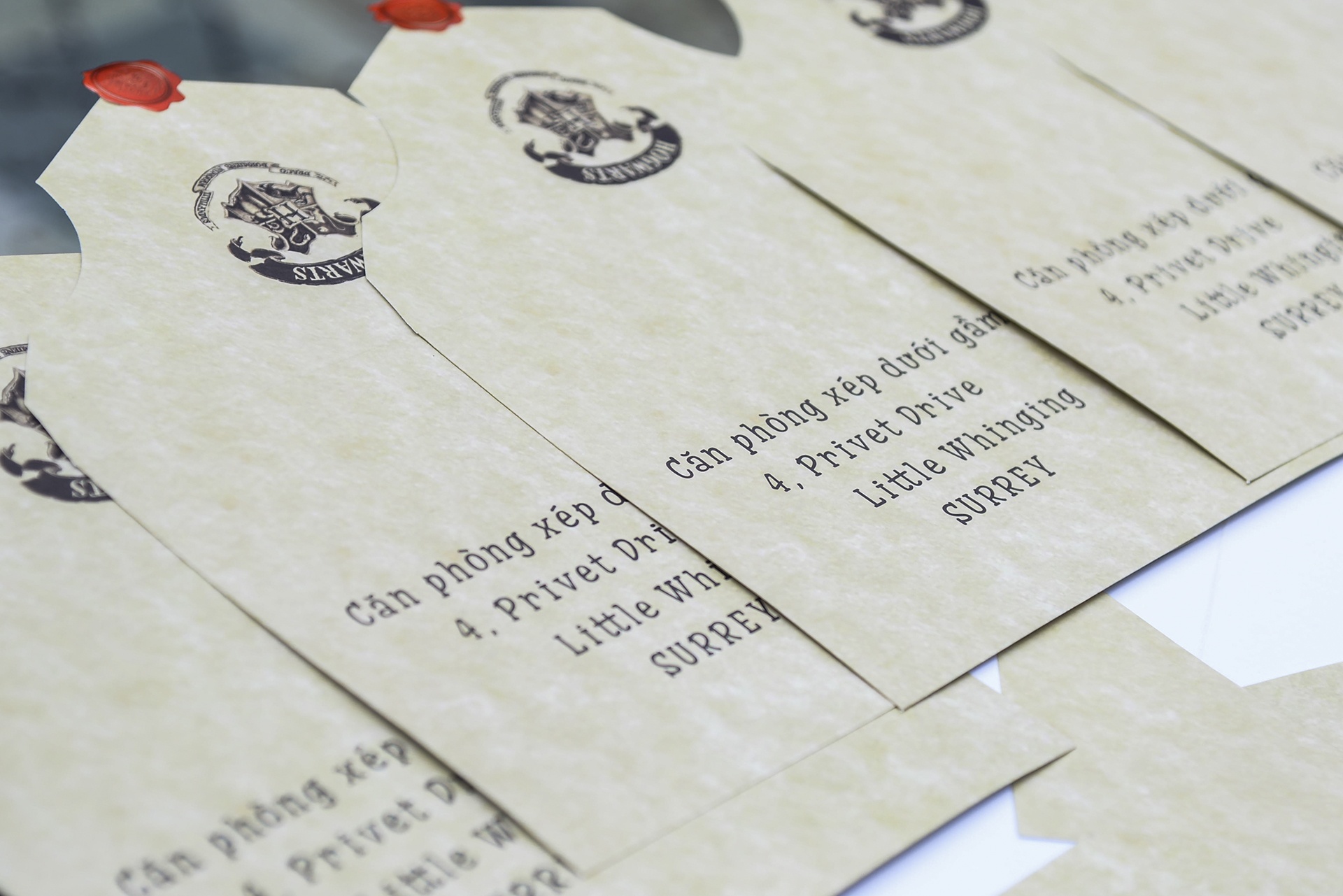 ky niem 20 Nam Harry Potter anh 3