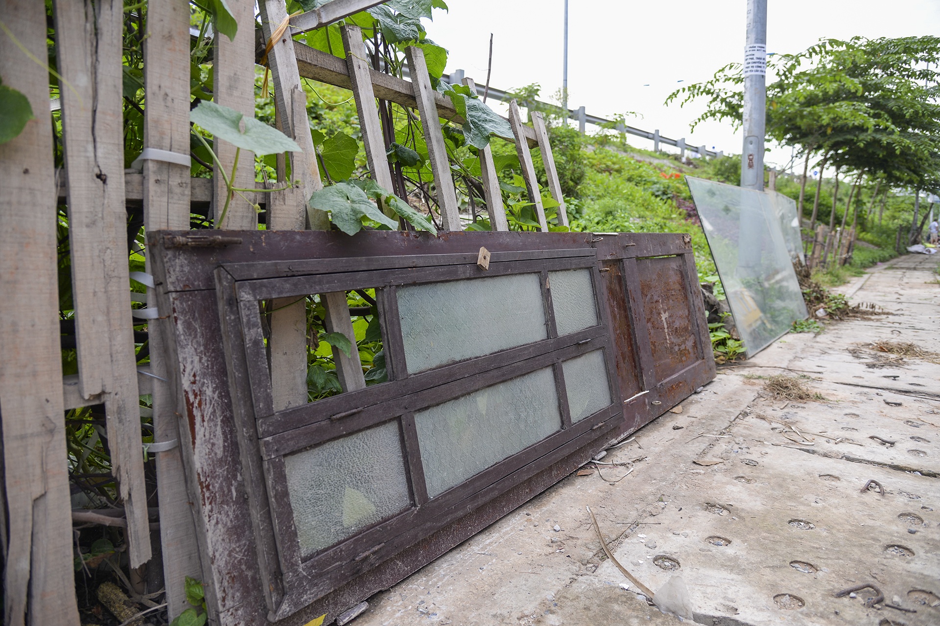 Nguoi thu do trong rau anh 10