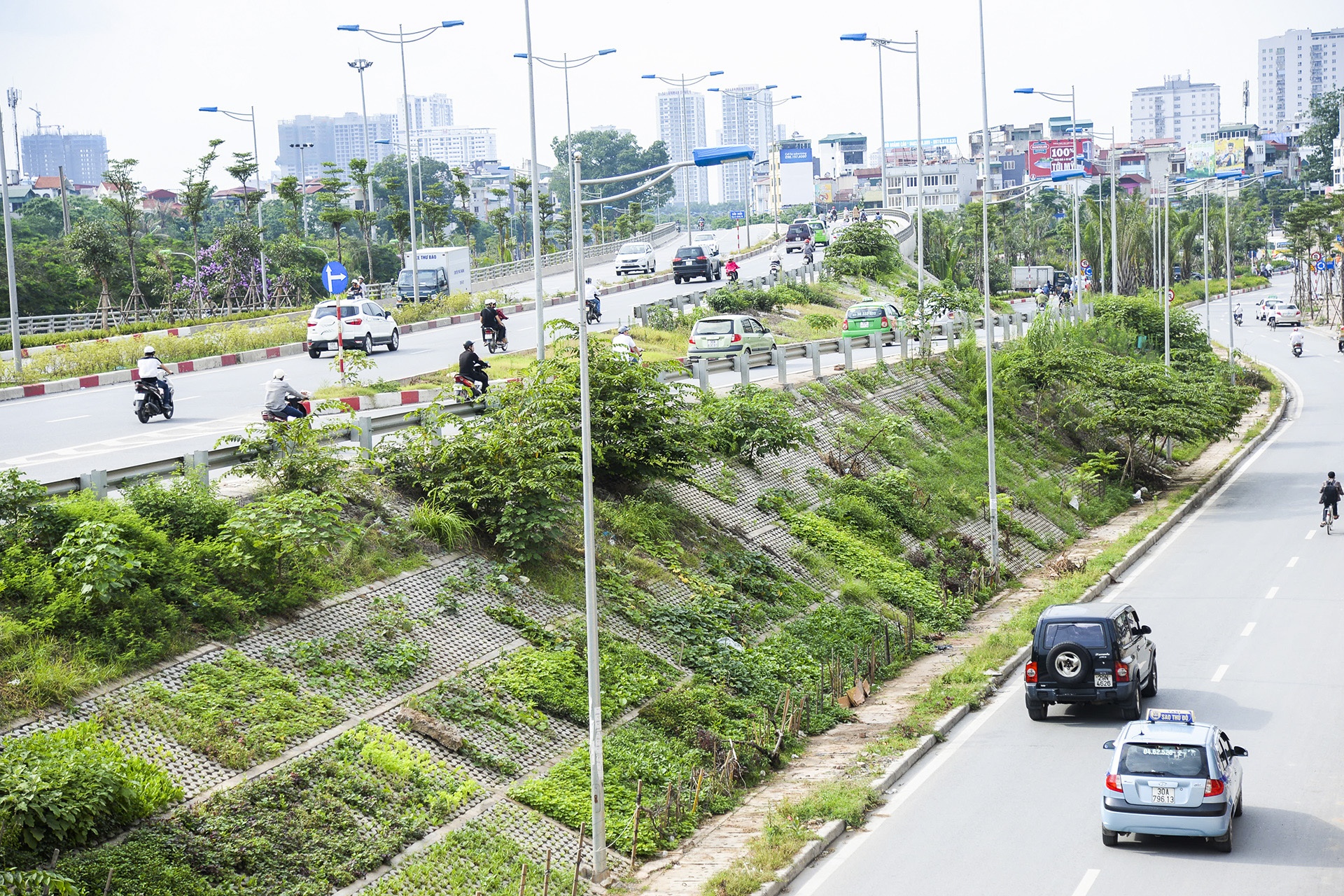 Nguoi thu do trong rau anh 1