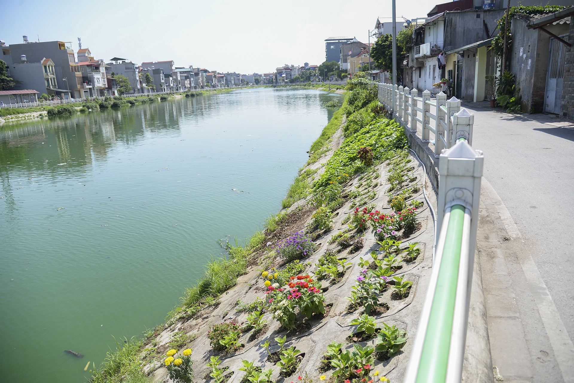 Nguoi thu do trong rau anh 19