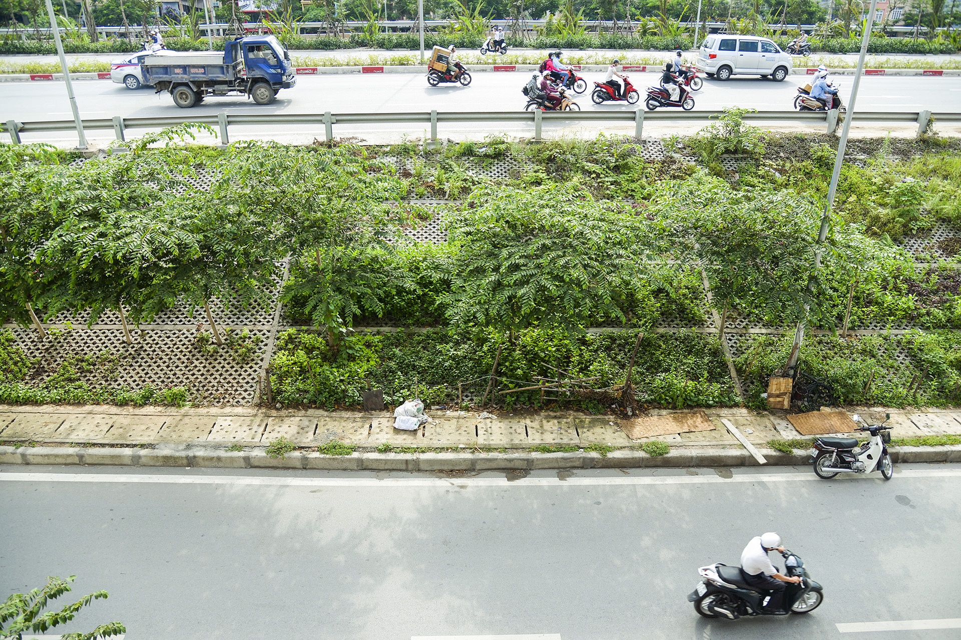 Nguoi thu do trong rau anh 2