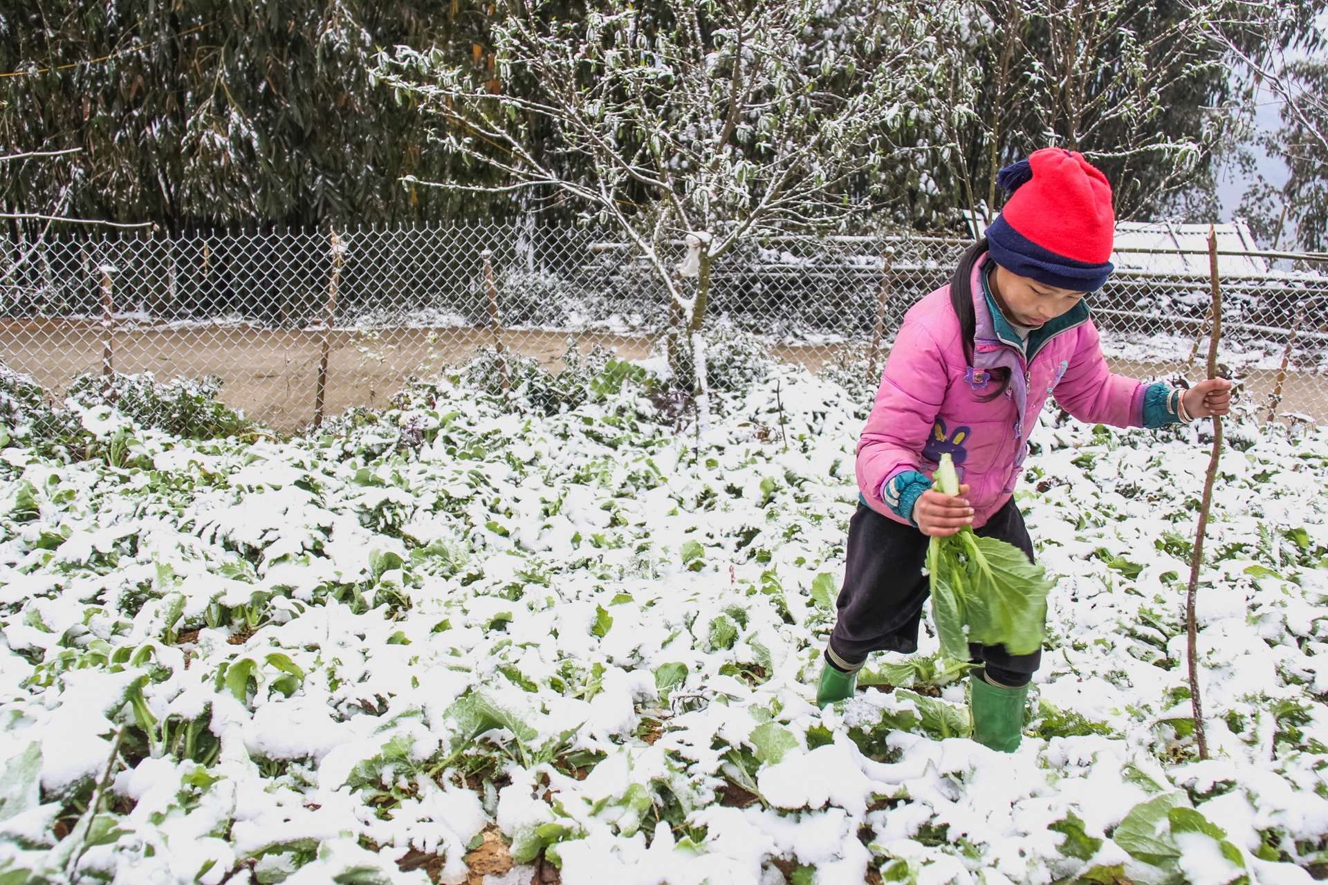 tre em Viet Nam anh 15