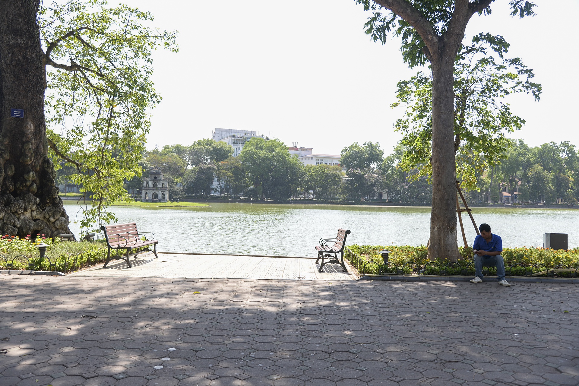 pho di bo vang ve anh 14