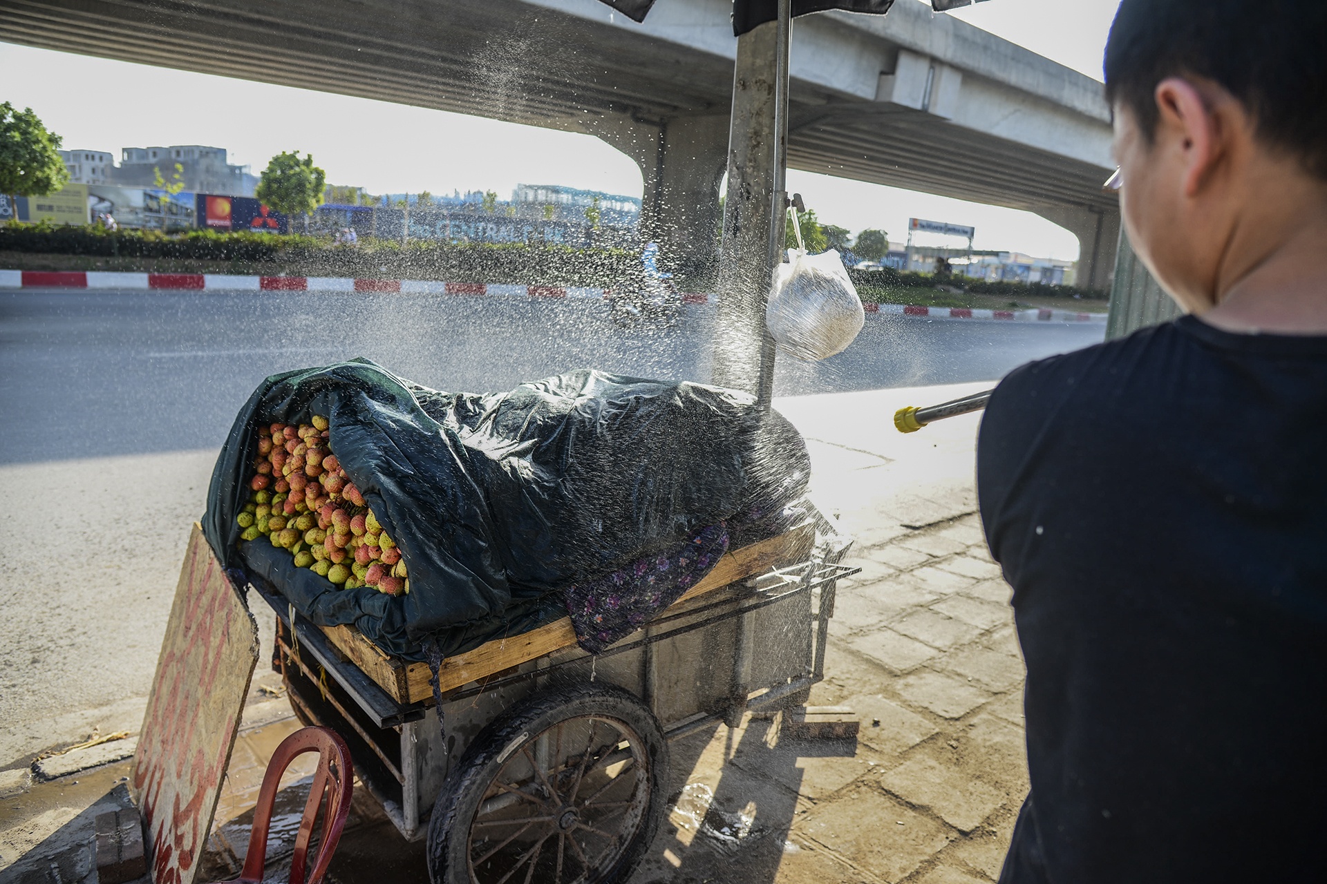 pho di bo vang ve anh 17