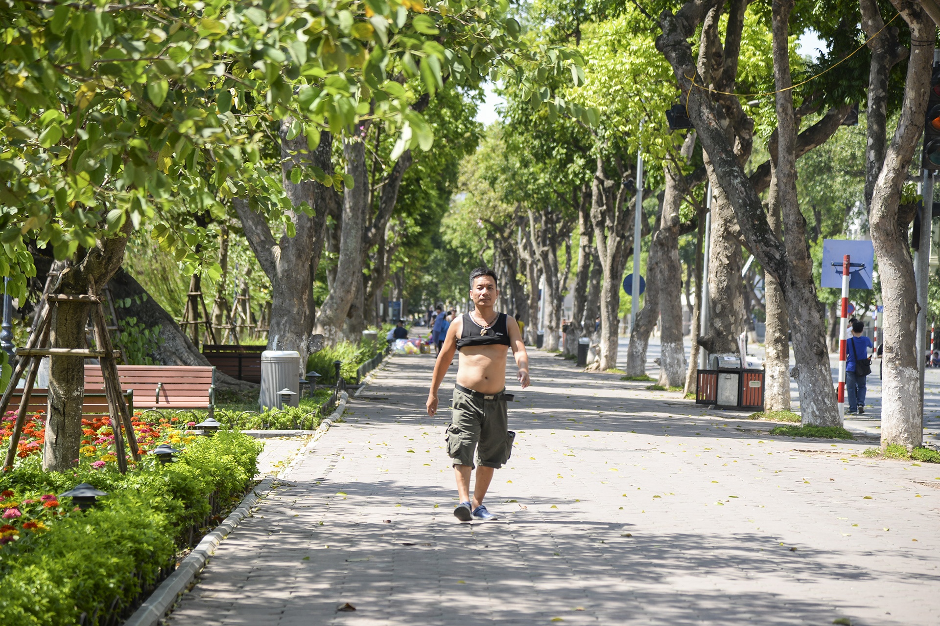 pho di bo vang ve anh 8