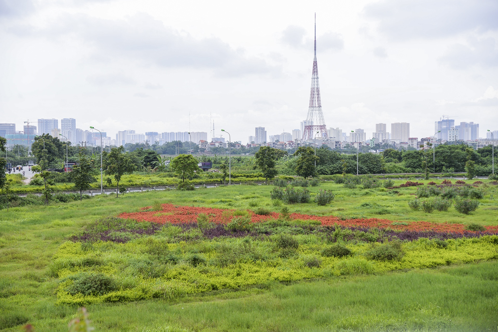 co moc dai lo thang long anh 9