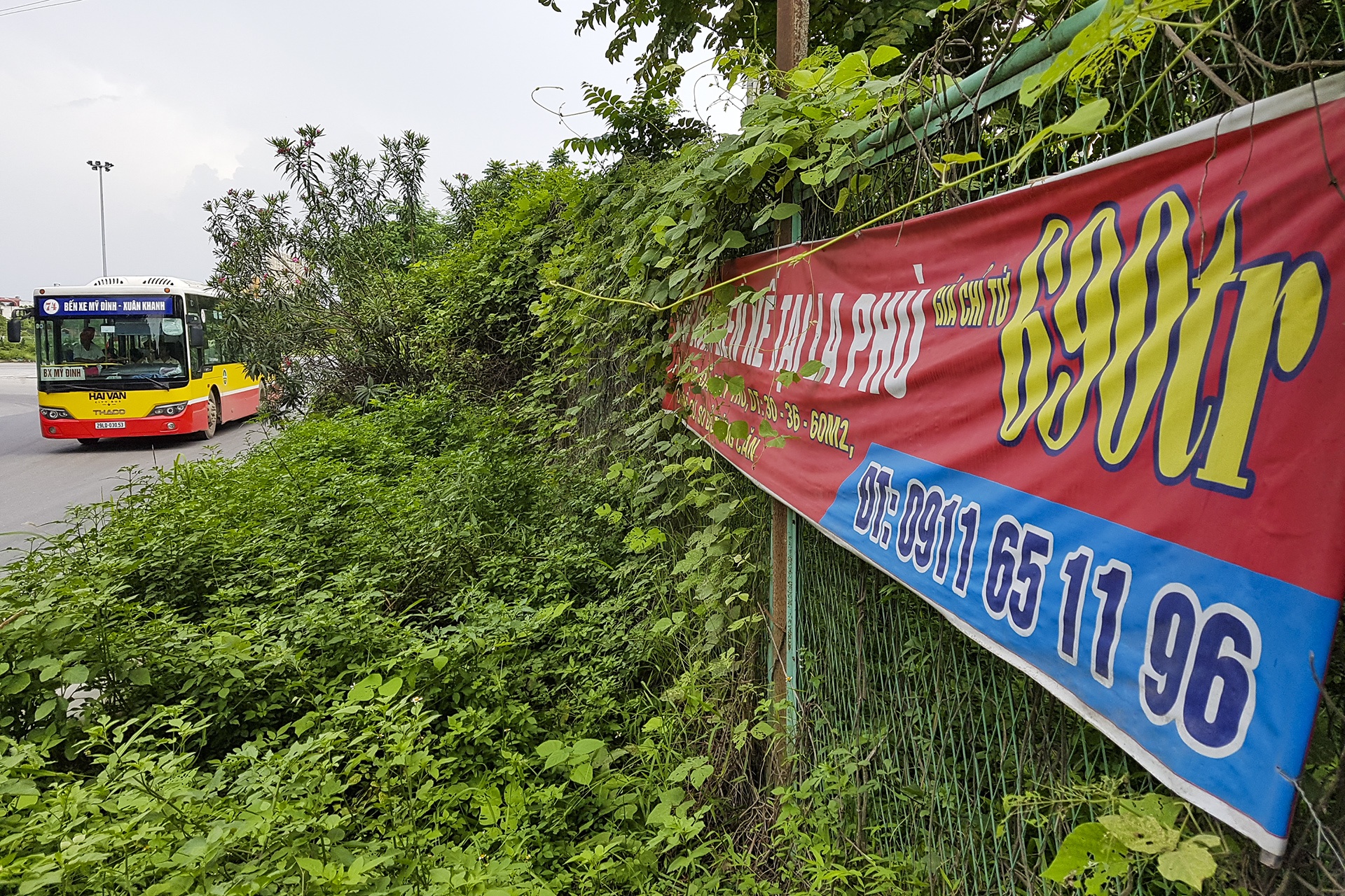 co moc dai lo thang long anh 15