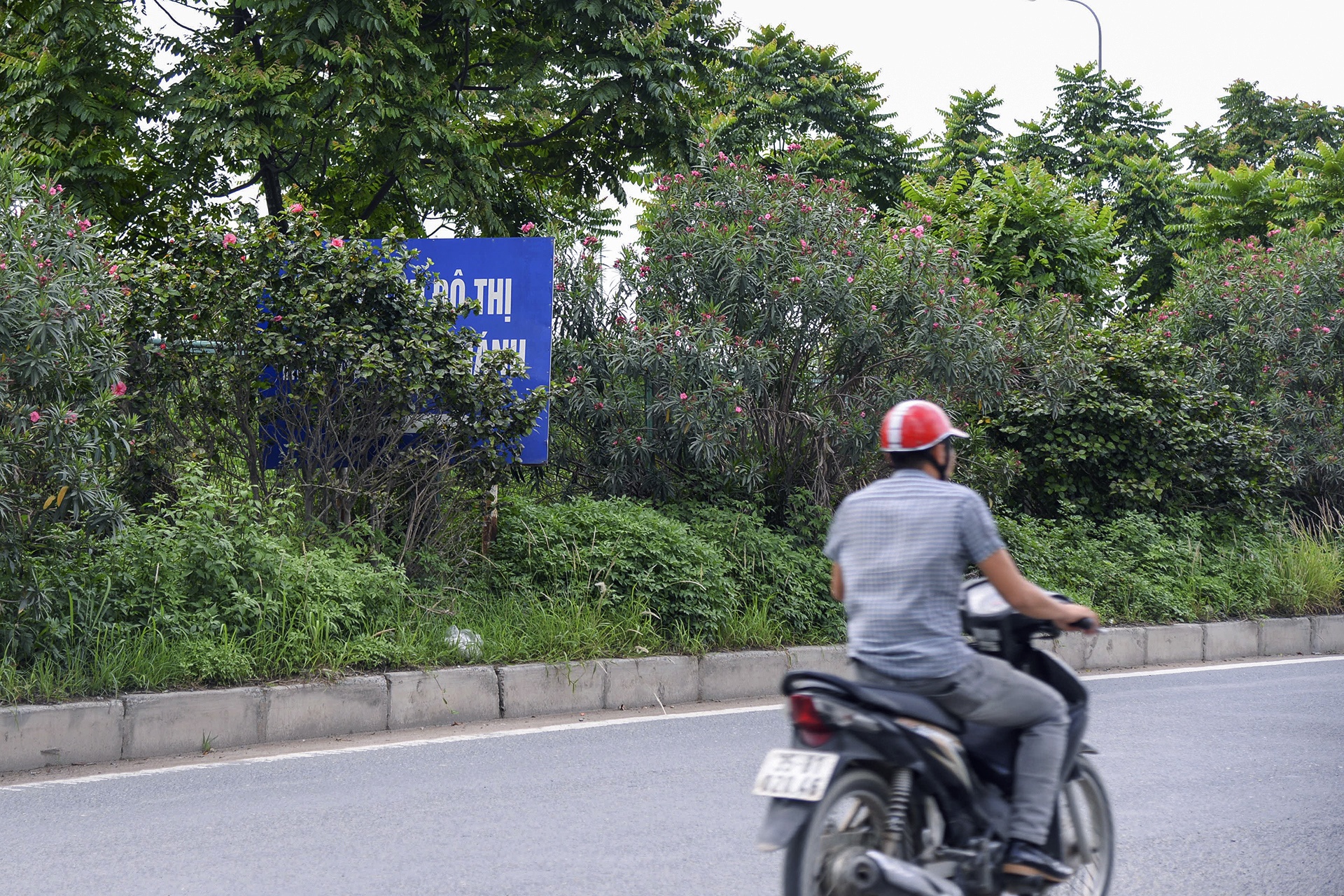 co moc dai lo thang long anh 5