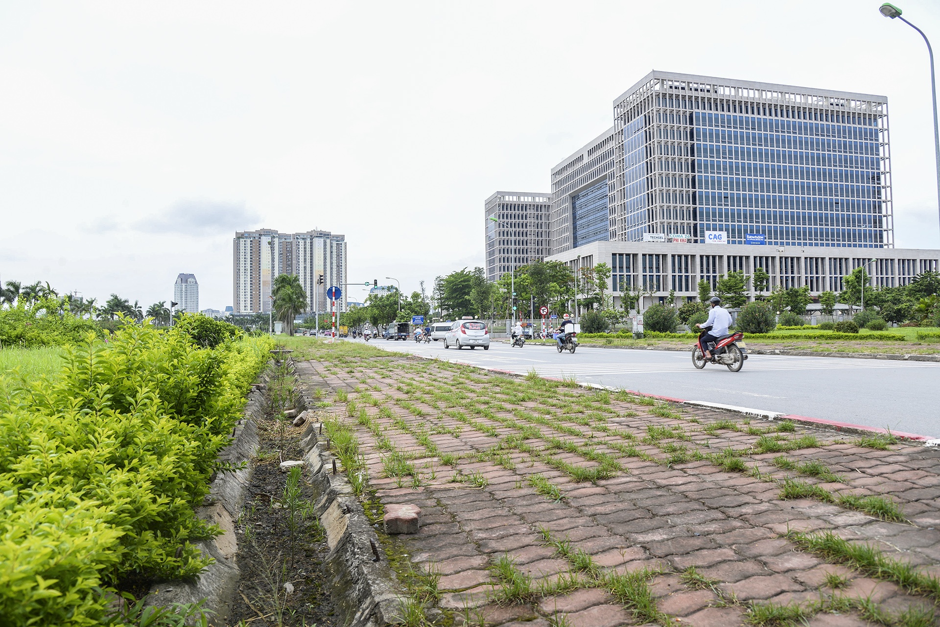 co moc dai lo thang long anh 12