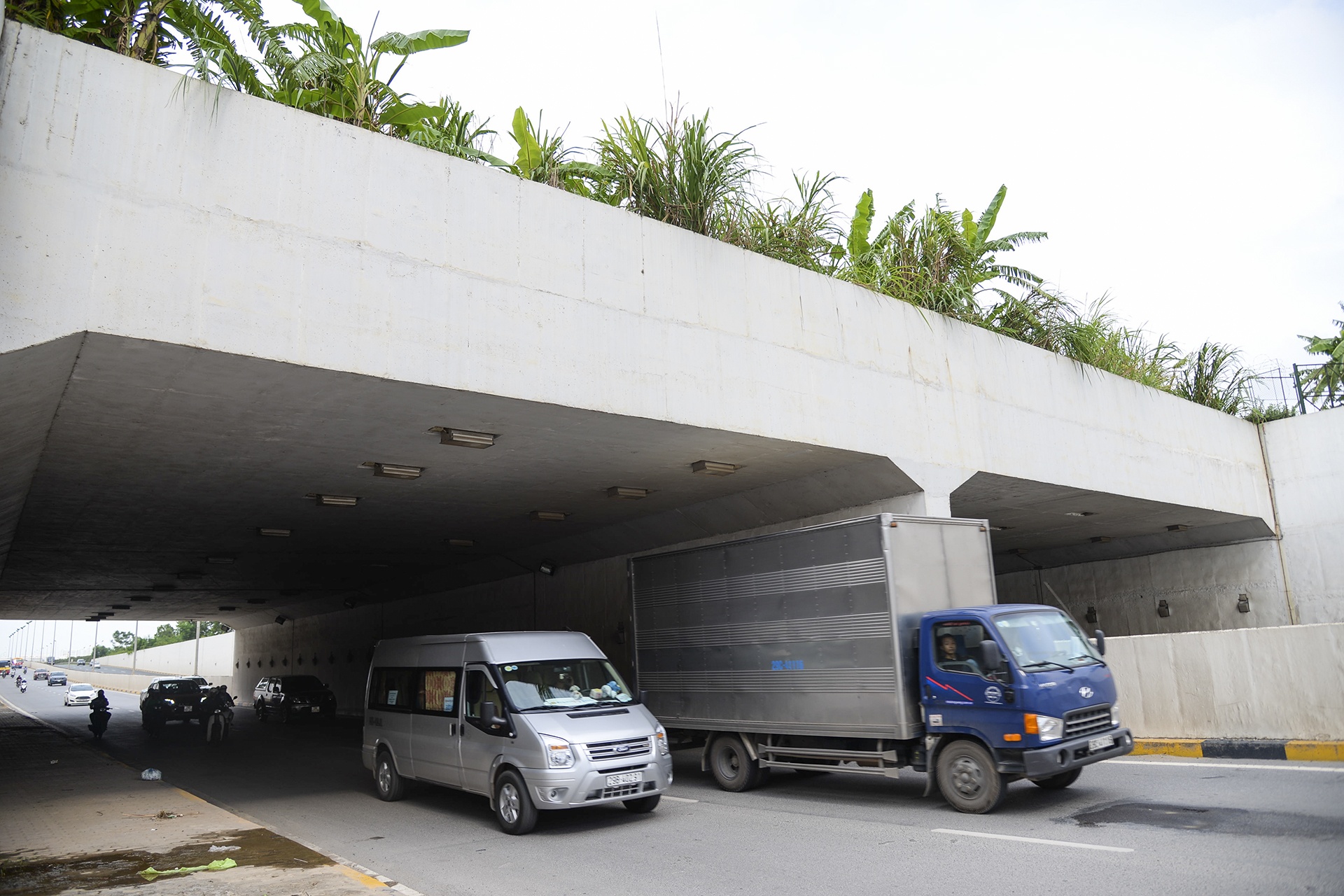 co moc dai lo thang long anh 13