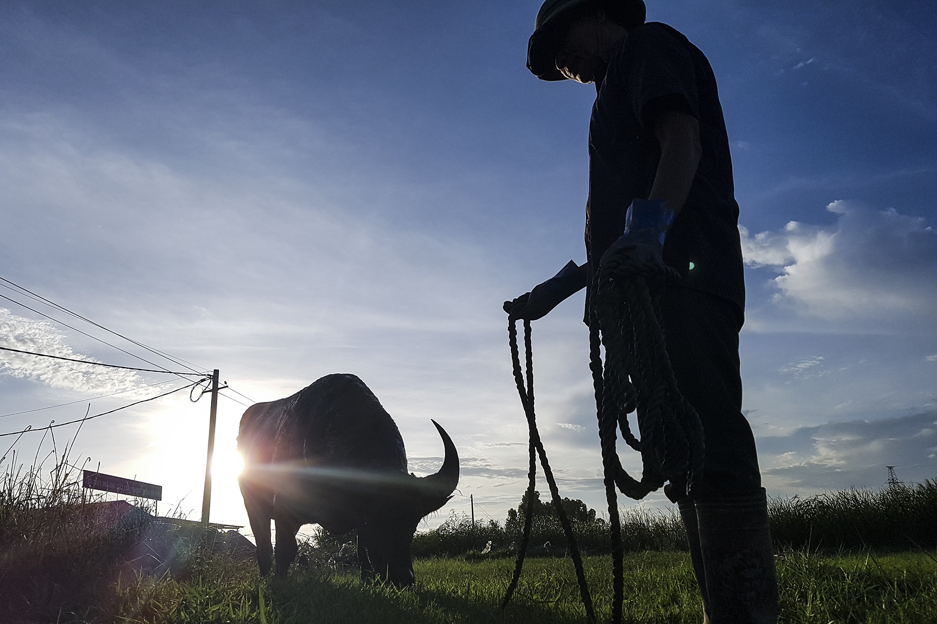nghe nuoi trau choi o Do Son anh 13
