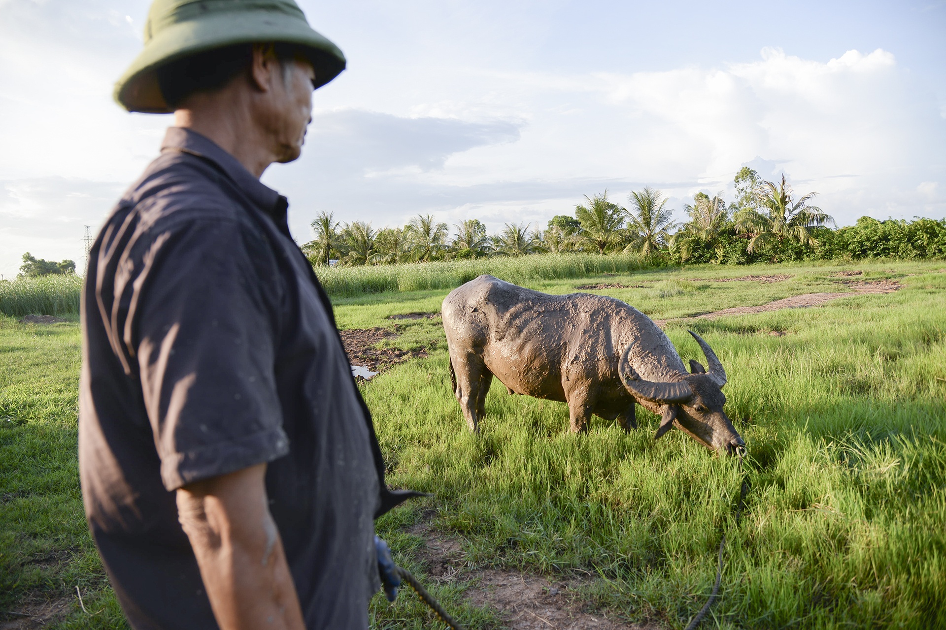 nghe nuoi trau choi o Do Son anh 1