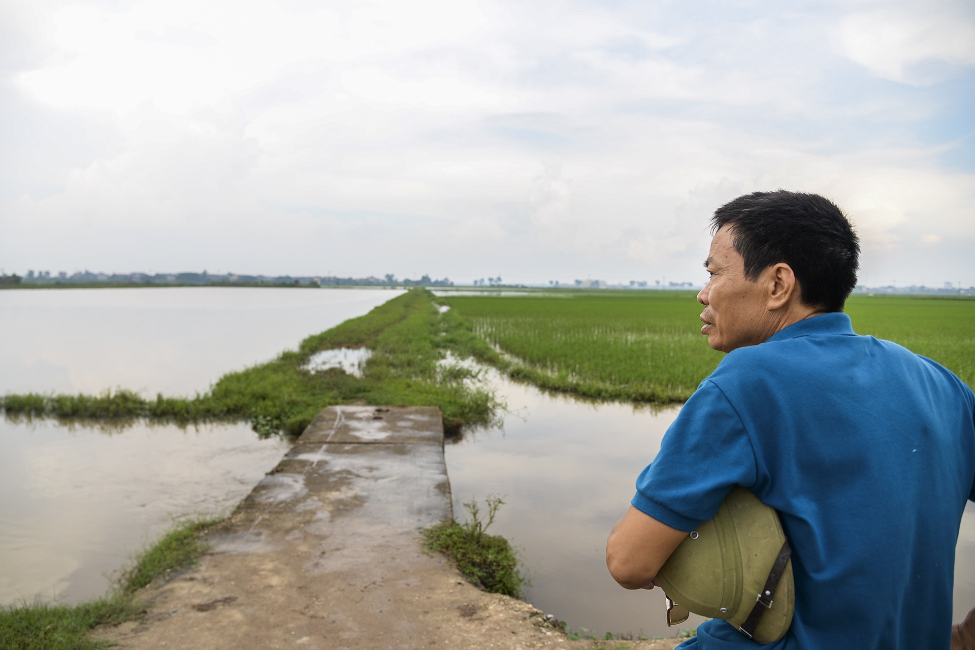 Mua ngap lam chet lua anh 4