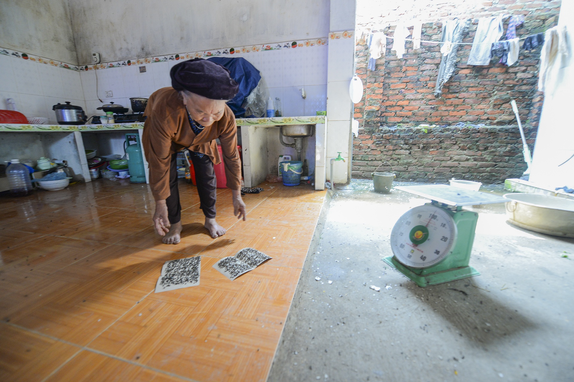 ruoi tan cong nguoi dan song canh bai rac Nam Son anh 17