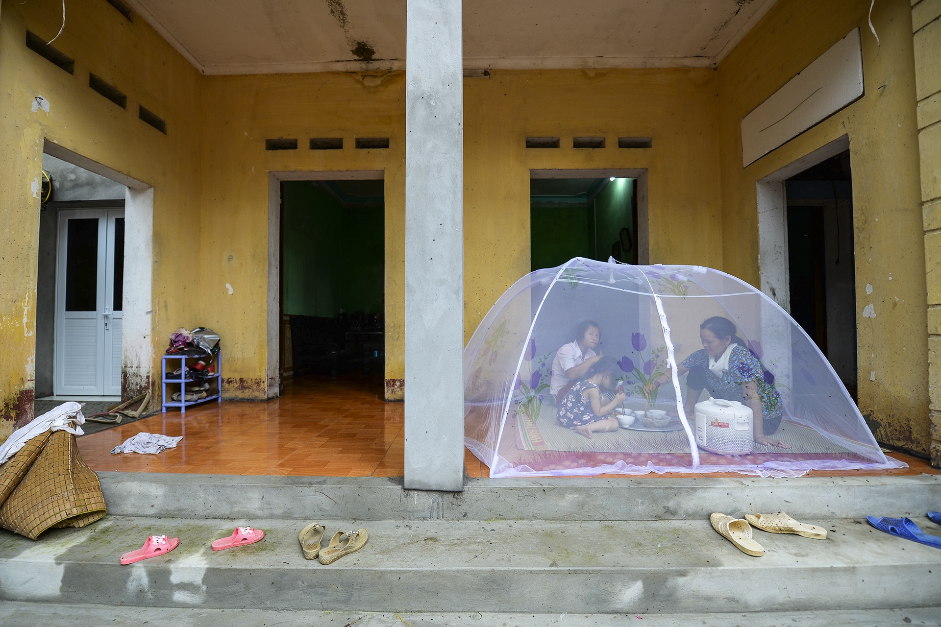 ruoi tan cong nguoi dan song canh bai rac Nam Son anh 1