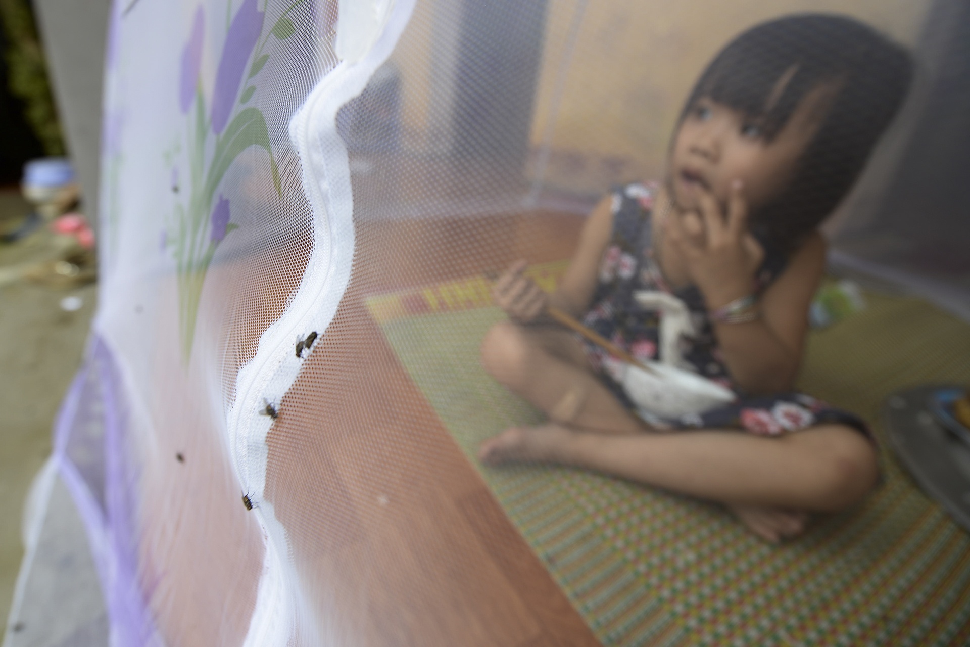 ruoi tan cong nguoi dan song canh bai rac Nam Son anh 3