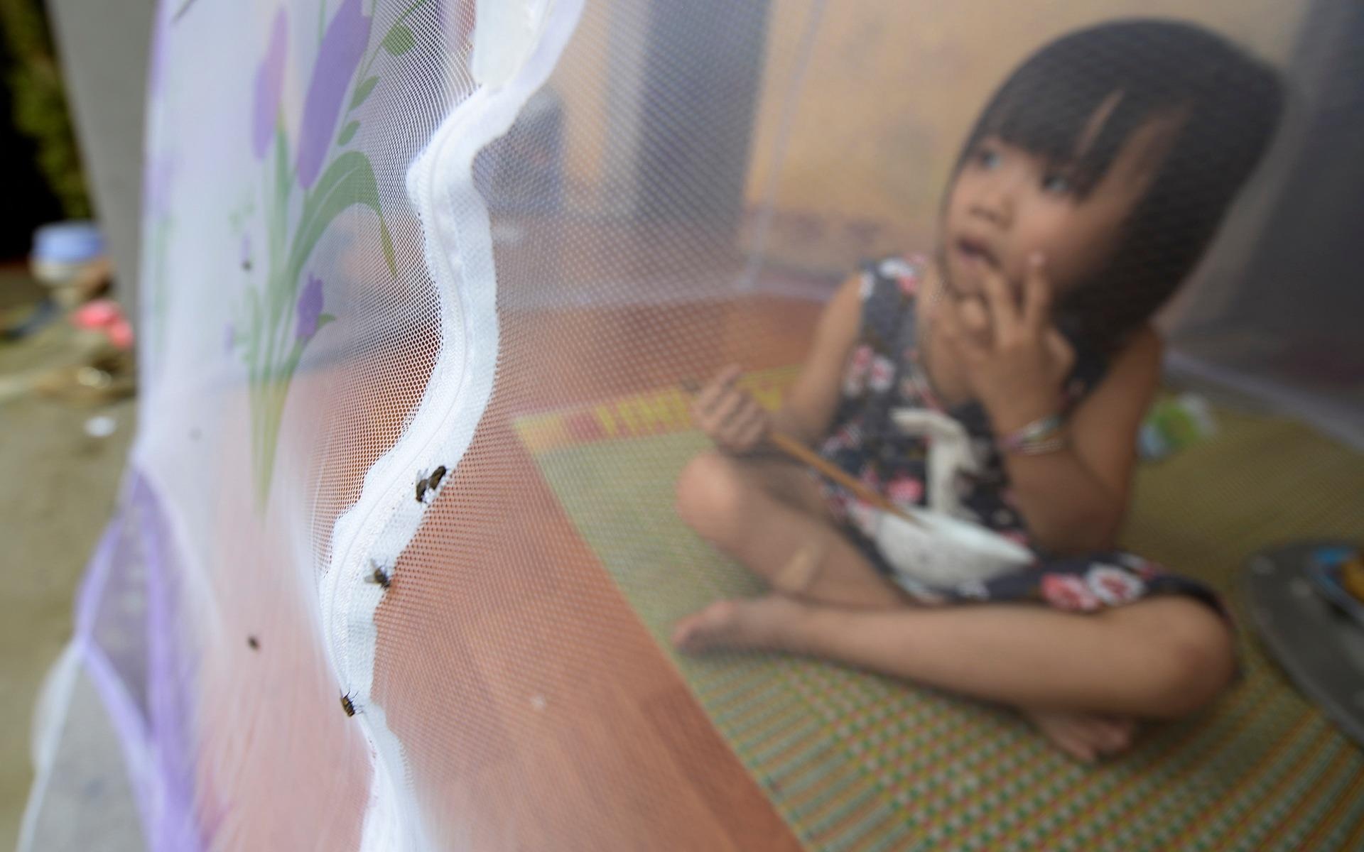 Mac man an com tranh hang trieu con ruoi tan cong hinh anh