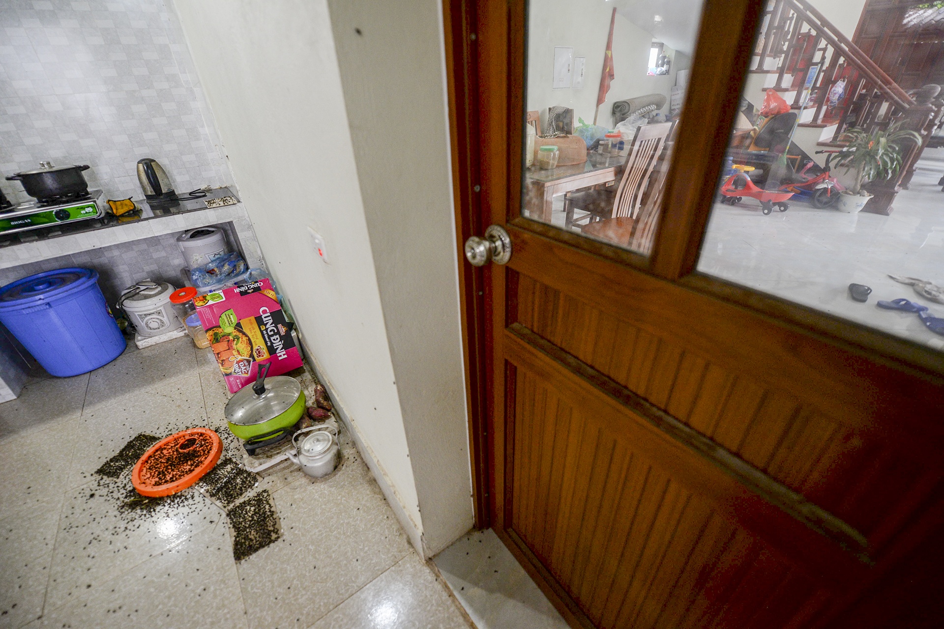 ruoi tan cong nguoi dan song canh bai rac Nam Son anh 11