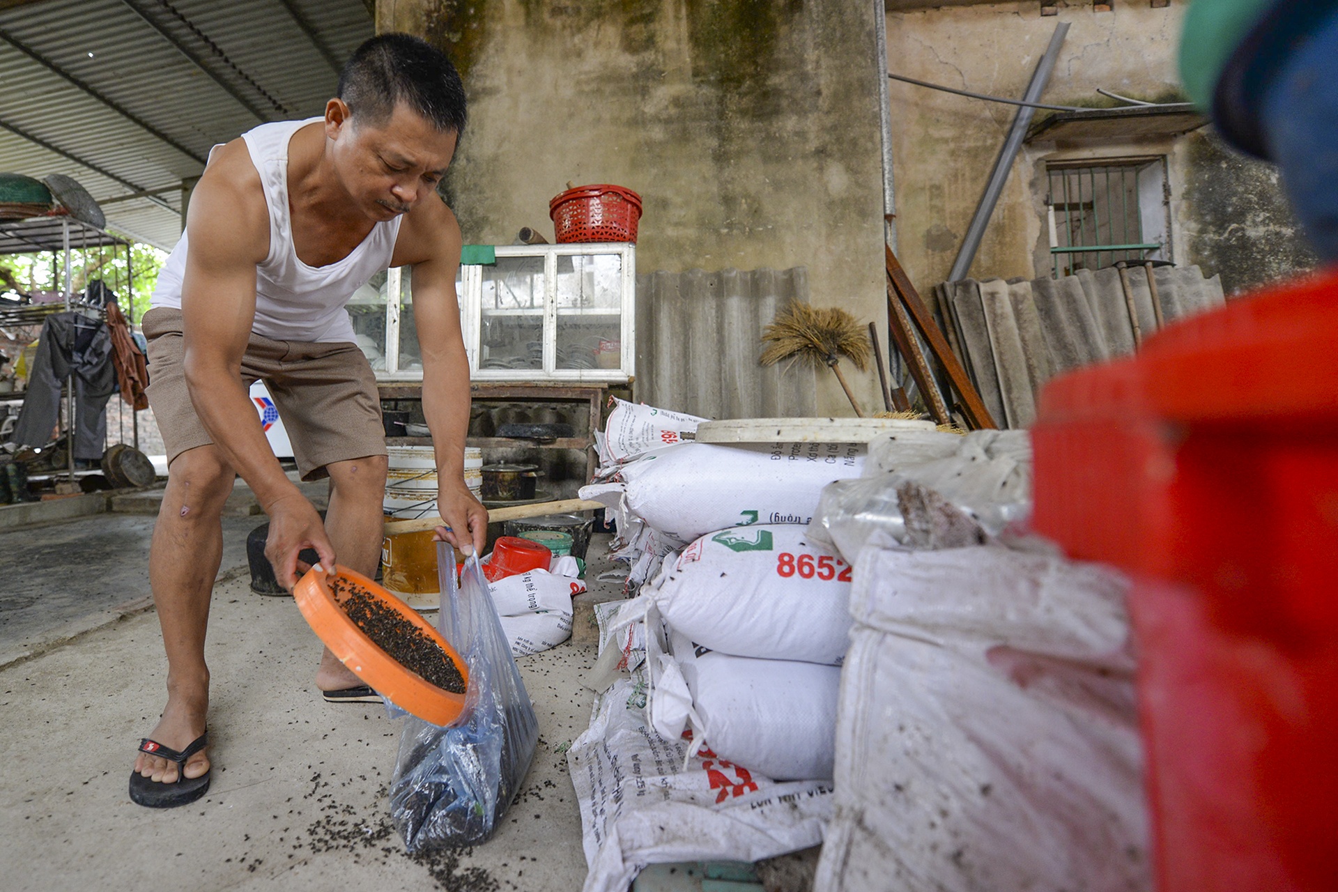 ruoi tan cong nguoi dan song canh bai rac Nam Son anh 13