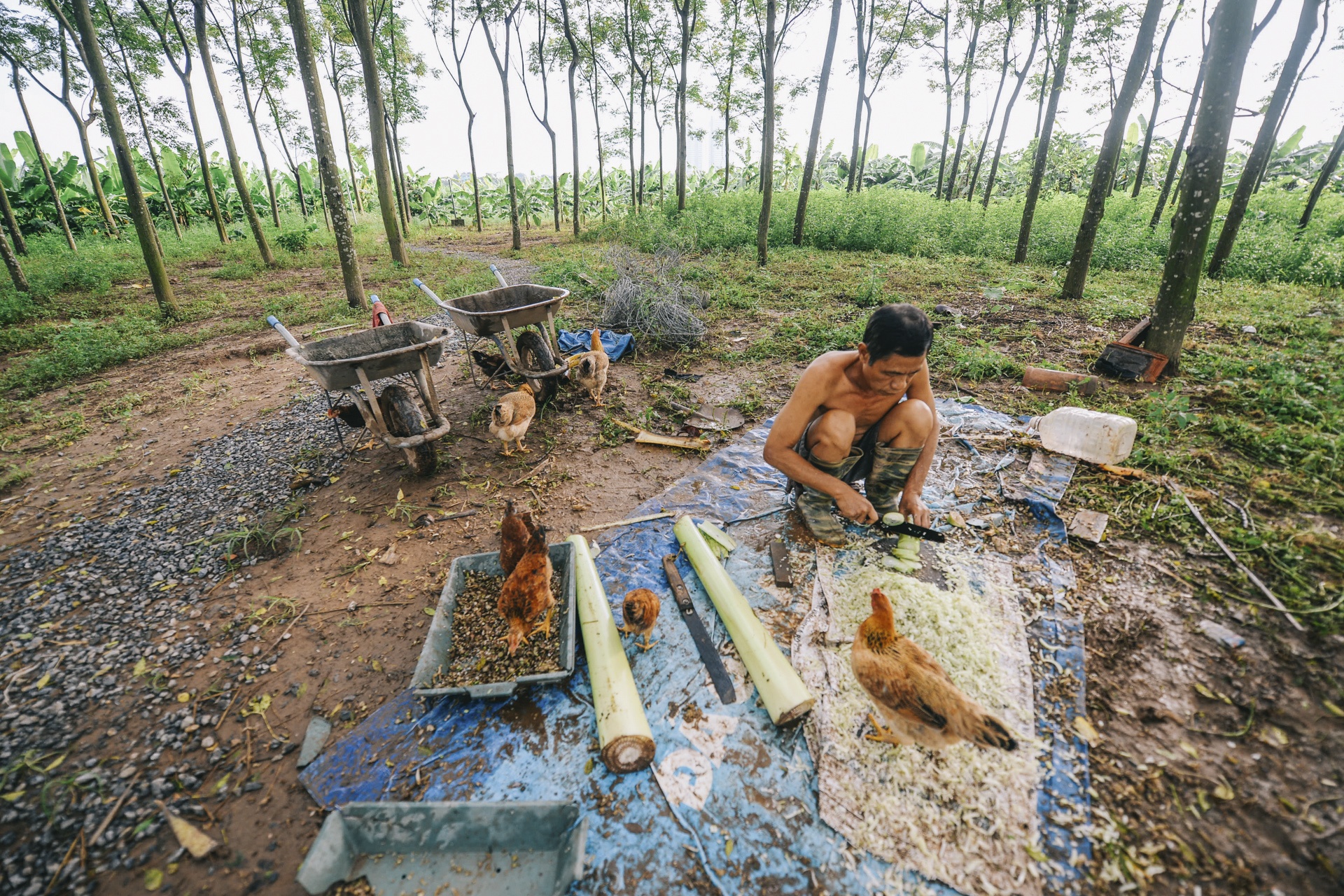 lam thuyen chuoi di chuyen trong mua xa lu anh 14