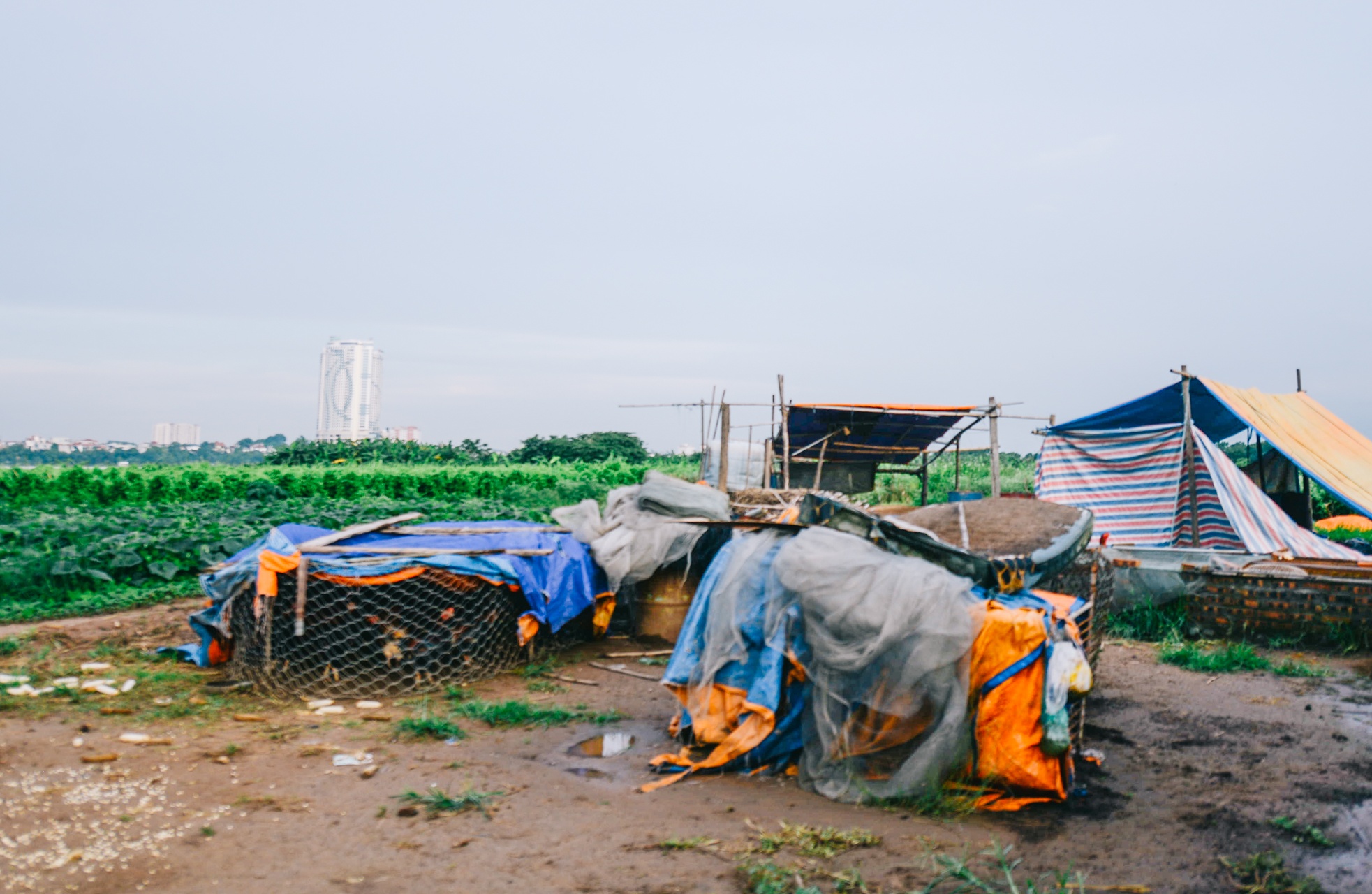 lam thuyen chuoi di chuyen trong mua xa lu anh 15