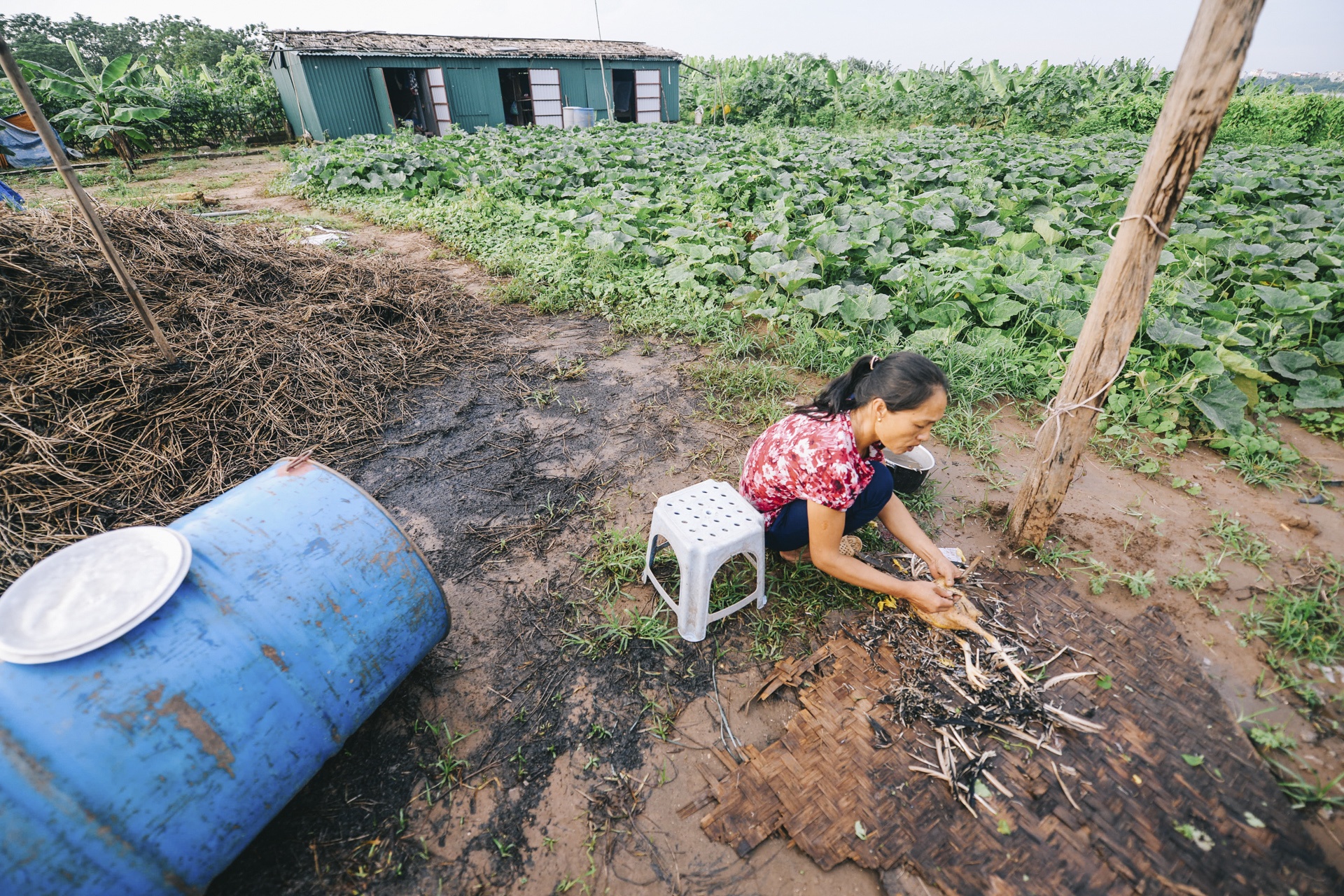 lam thuyen chuoi di chuyen trong mua xa lu anh 16