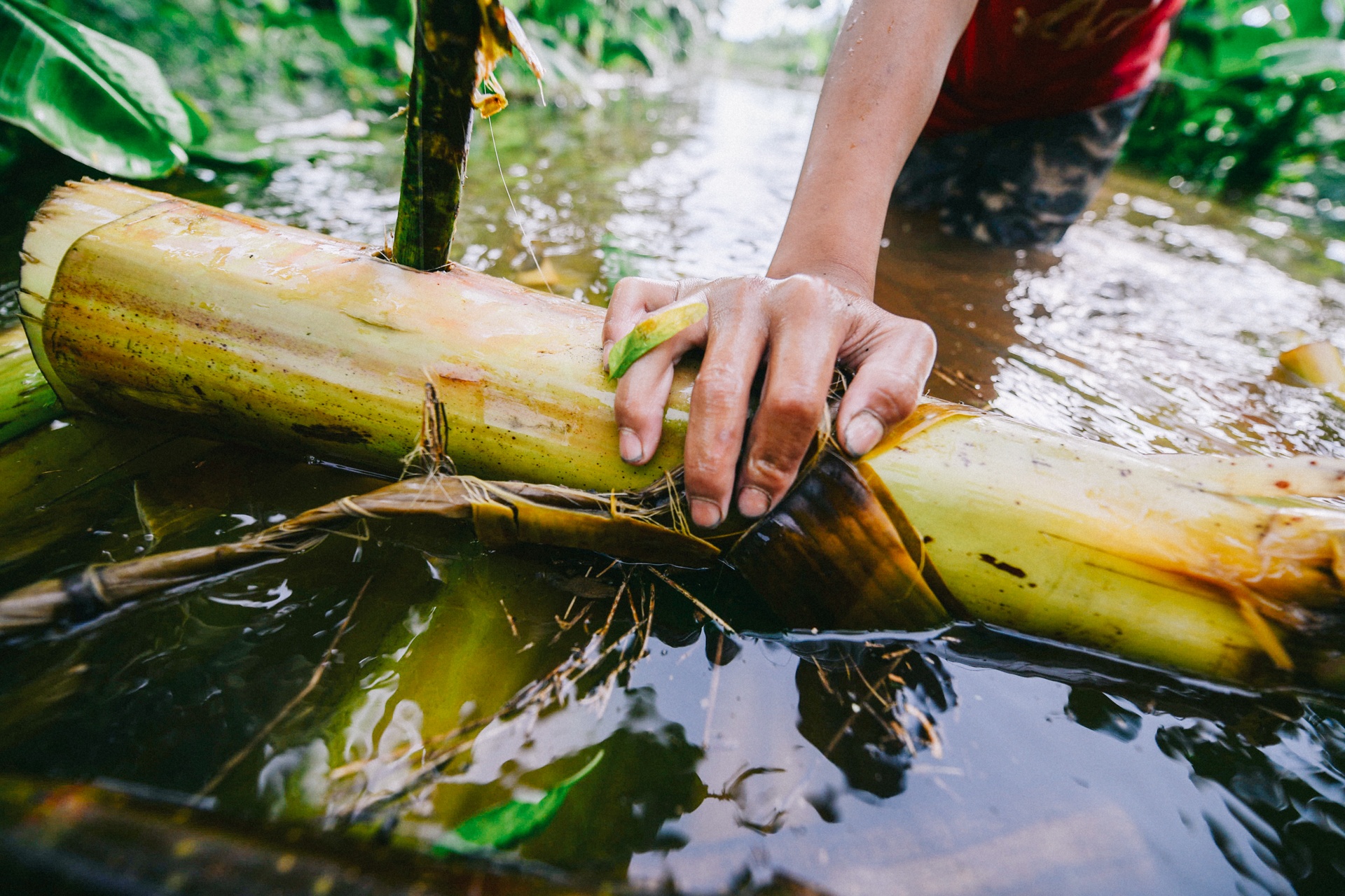 lam thuyen chuoi di chuyen trong mua xa lu anh 4