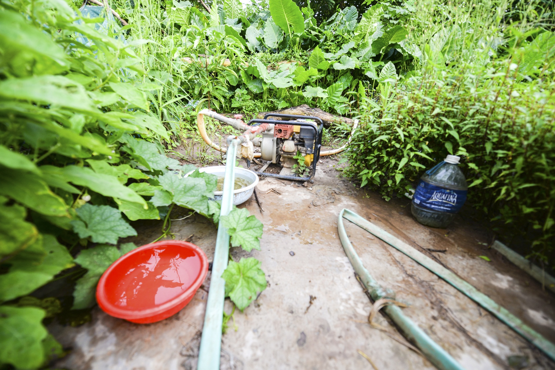 lam thuyen chuoi di chuyen trong mua xa lu anh 10