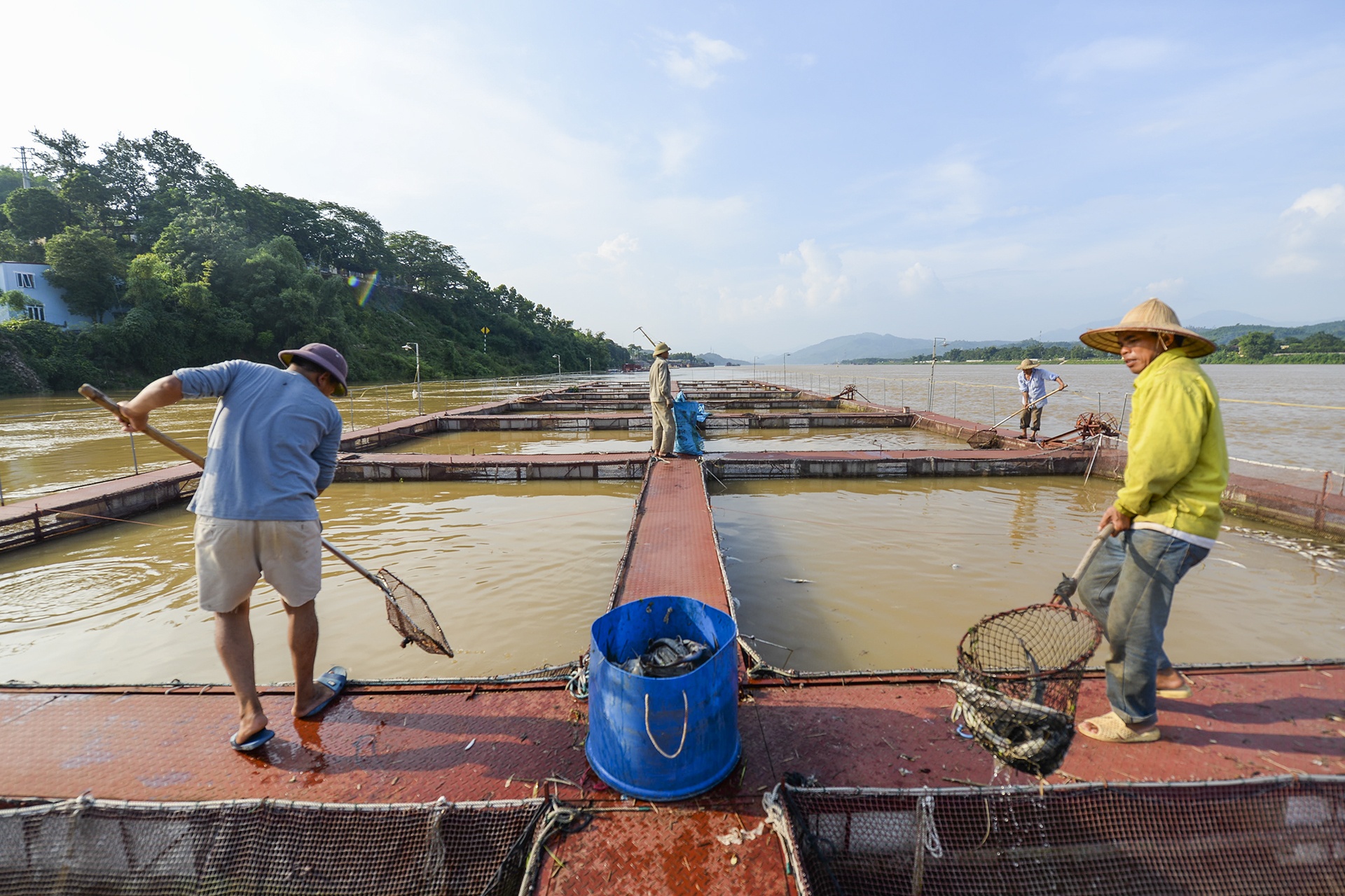 ca chet hang loat cung dot xa nuoc thuy dien hoa binh anh 12