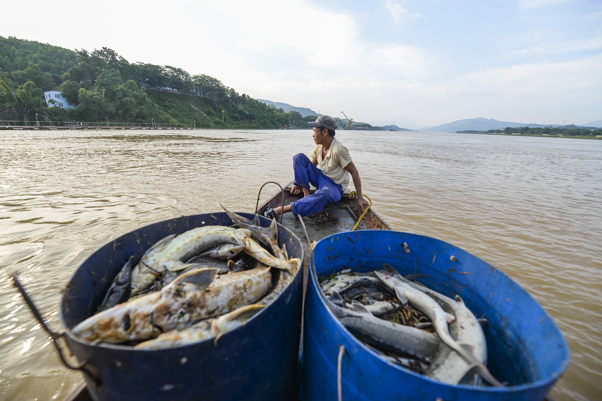 ca chet hang loat cung dot xa nuoc thuy dien hoa binh anh 13