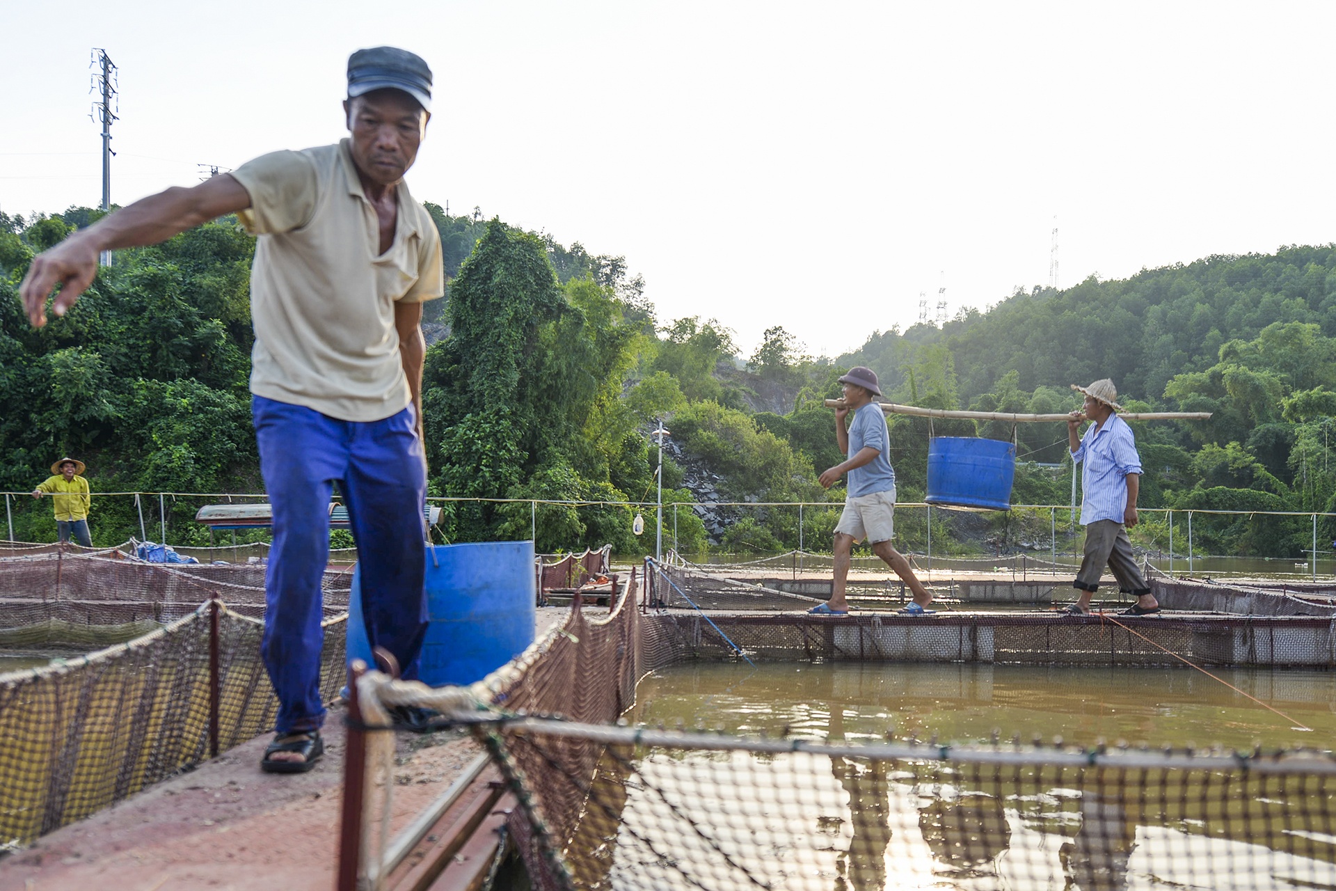 ca chet hang loat cung dot xa nuoc thuy dien hoa binh anh 14