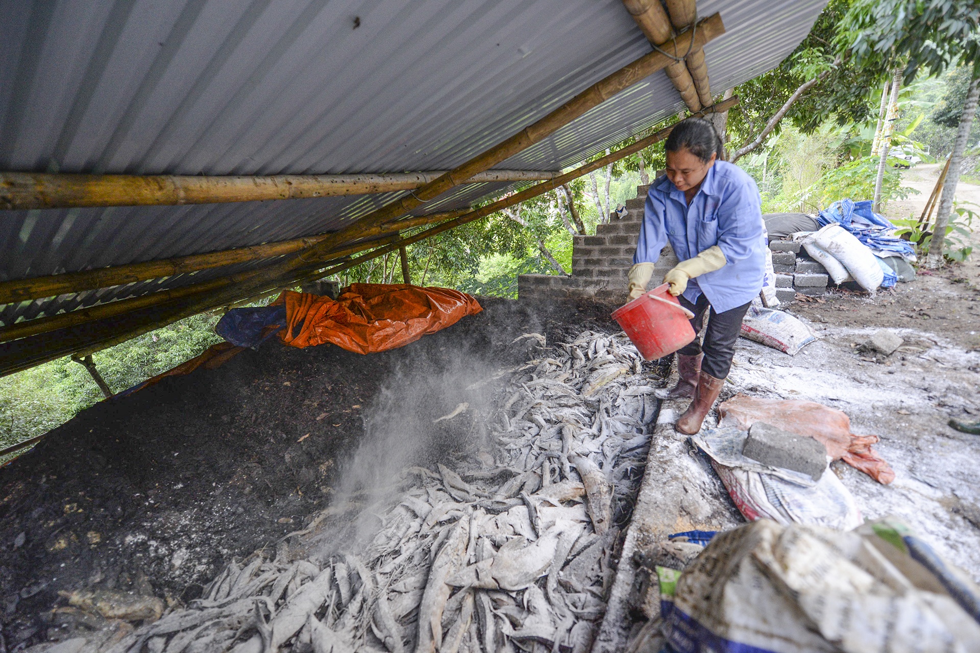 ca chet hang loat cung dot xa nuoc thuy dien hoa binh anh 18