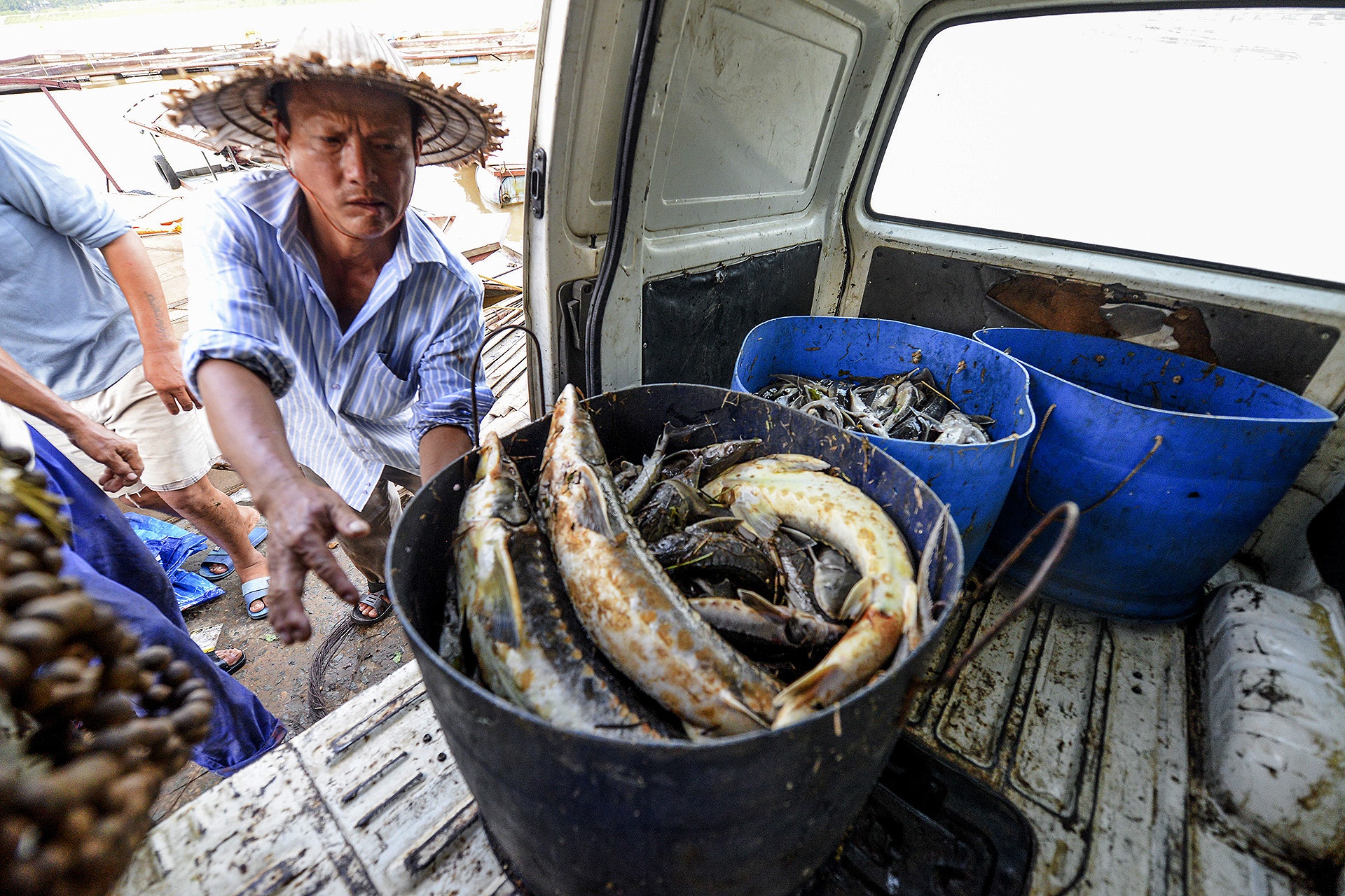 Thuy dien Hoa Binh xa lu, hang chuc tan ca tam chet sat ngay thu hoach hinh anh