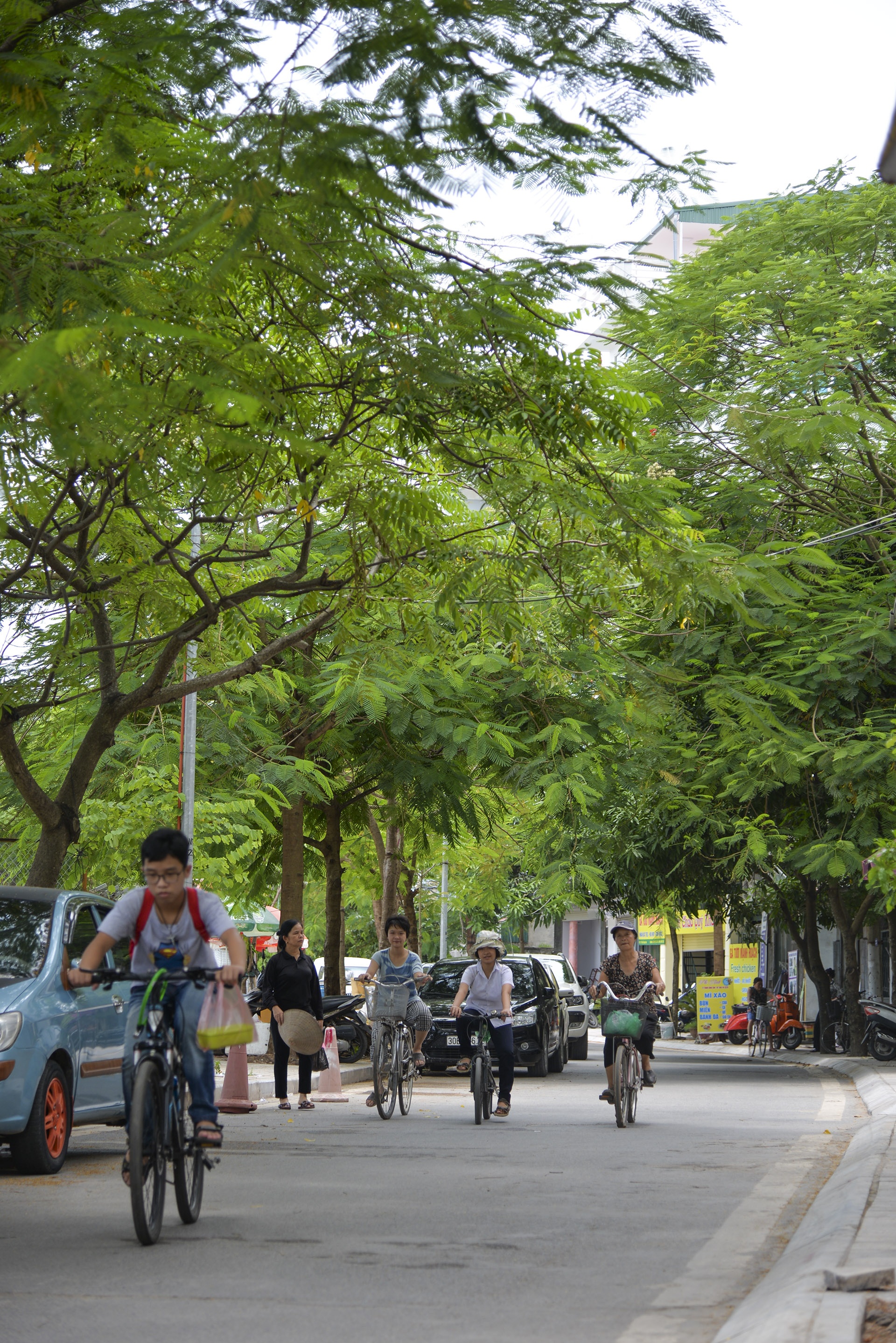 người dân phản đối phố đi bộ Trịnh Công Sơn ảnh 15 nguoi dan phan doi pho di bo Trinh Cong Son anh 15