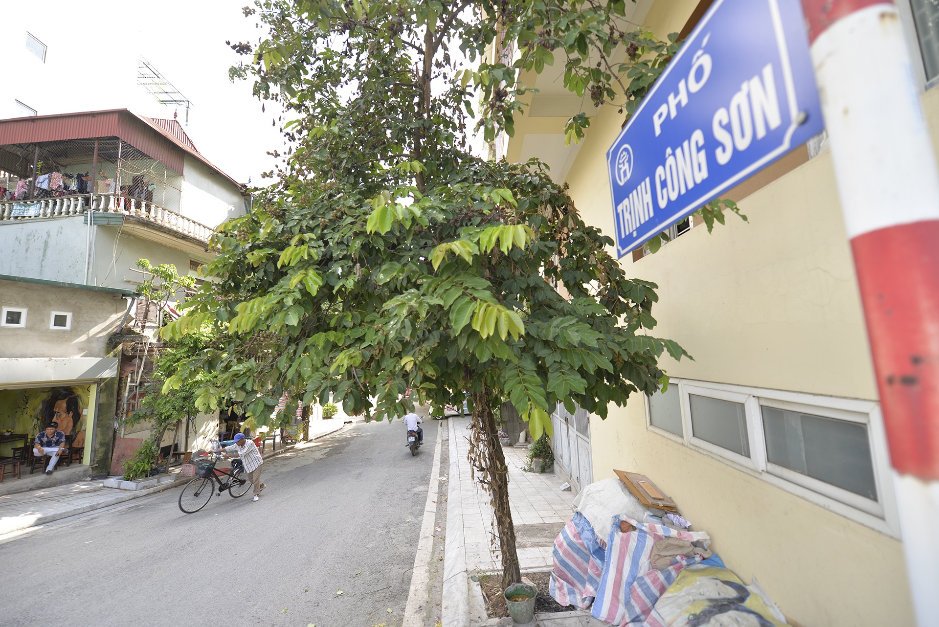 người dân phản đối phố đi bộ Trịnh Công Sơn ảnh 1 nguoi dan phan doi pho di bo Trinh Cong Son anh 1