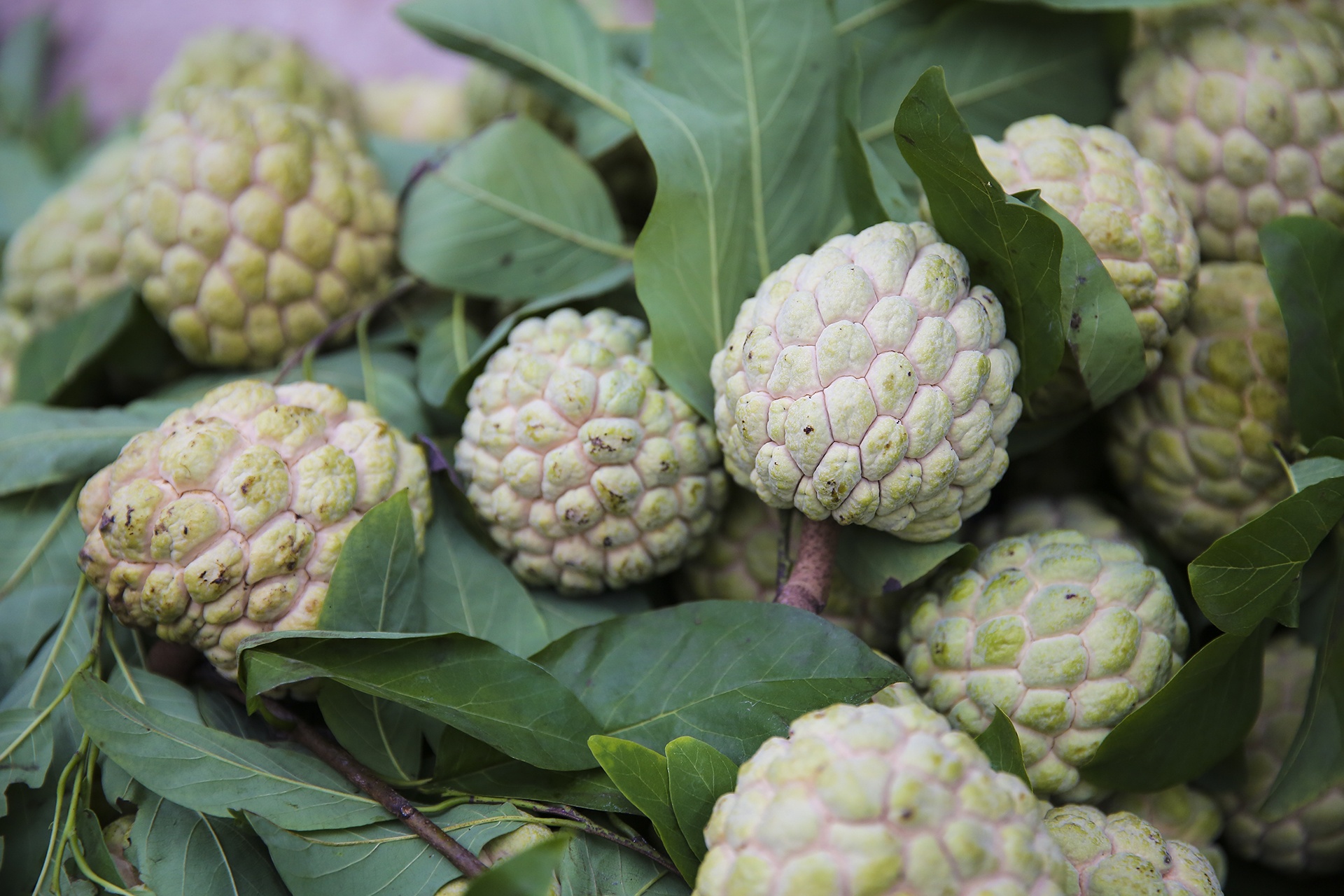 Mua na tren dat Lang hinh anh