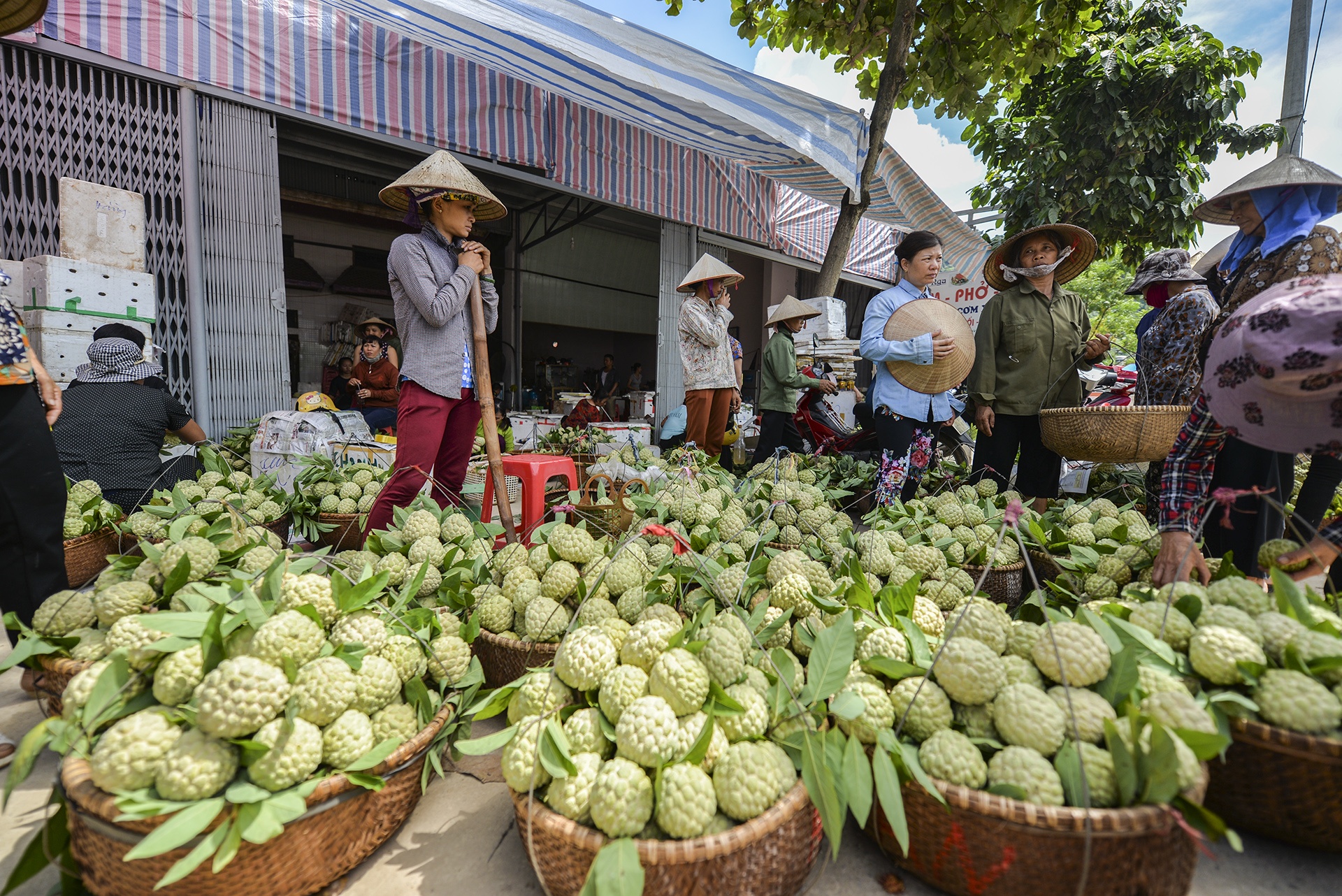 mua na Chi Lang Lang Son anh 1