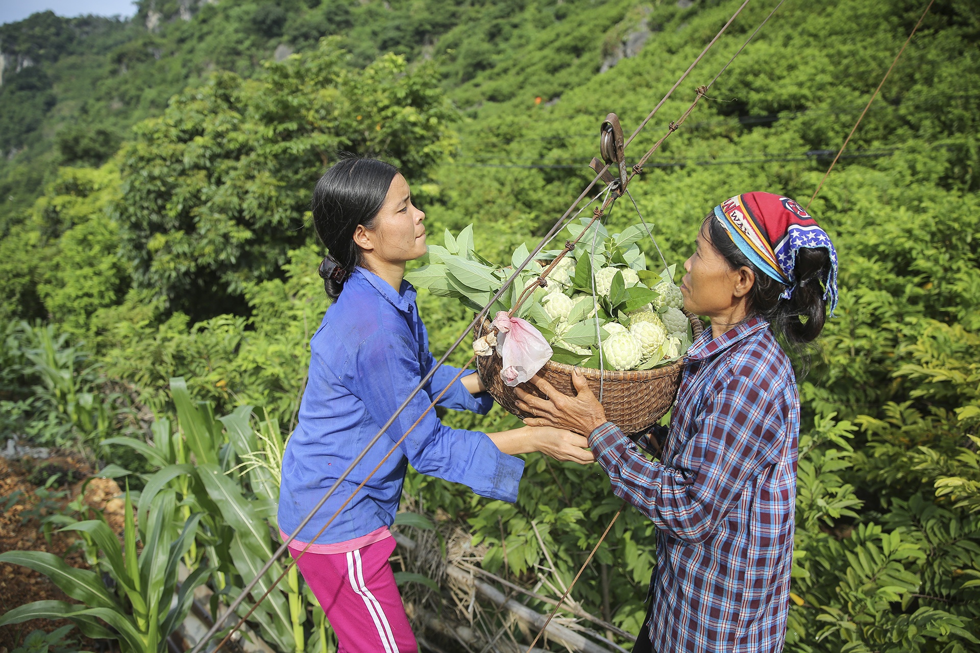 mua na Chi Lang Lang Son anh 2