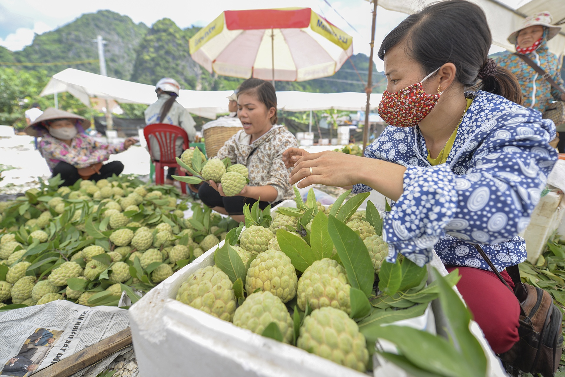 mua na Chi Lang Lang Son anh 4